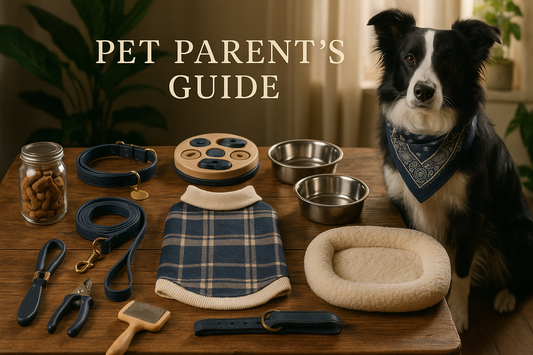 Choosing the Right Accessories for Your Dog: A Pet Parent’s Guide