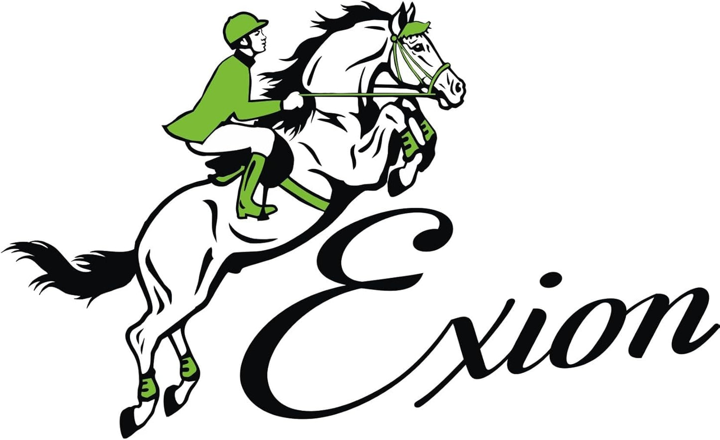 Exion Leather Horse Halter with Fancy Stitching | Black & Brown Padded Halter with Brass Hardware | Quick-Release Snap | Adjustable Leather Halter – Cob, Full, Over, Pony Sizes