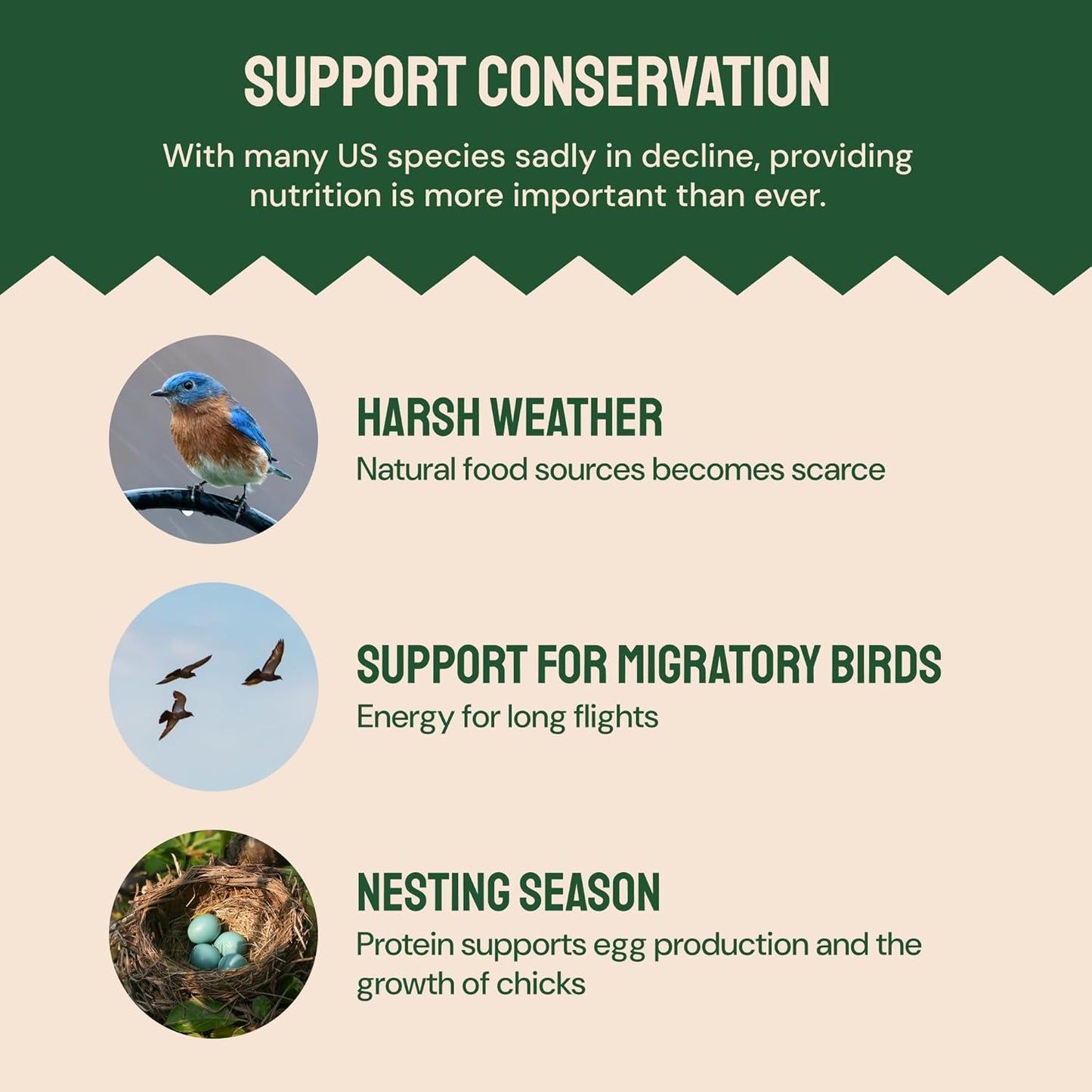 Dried Mealworms - 2 Lb Bag - High Protein Chicken Feed, Mealworms for Birds & Chickens - Meal Worms for Wild Birds & Turtles