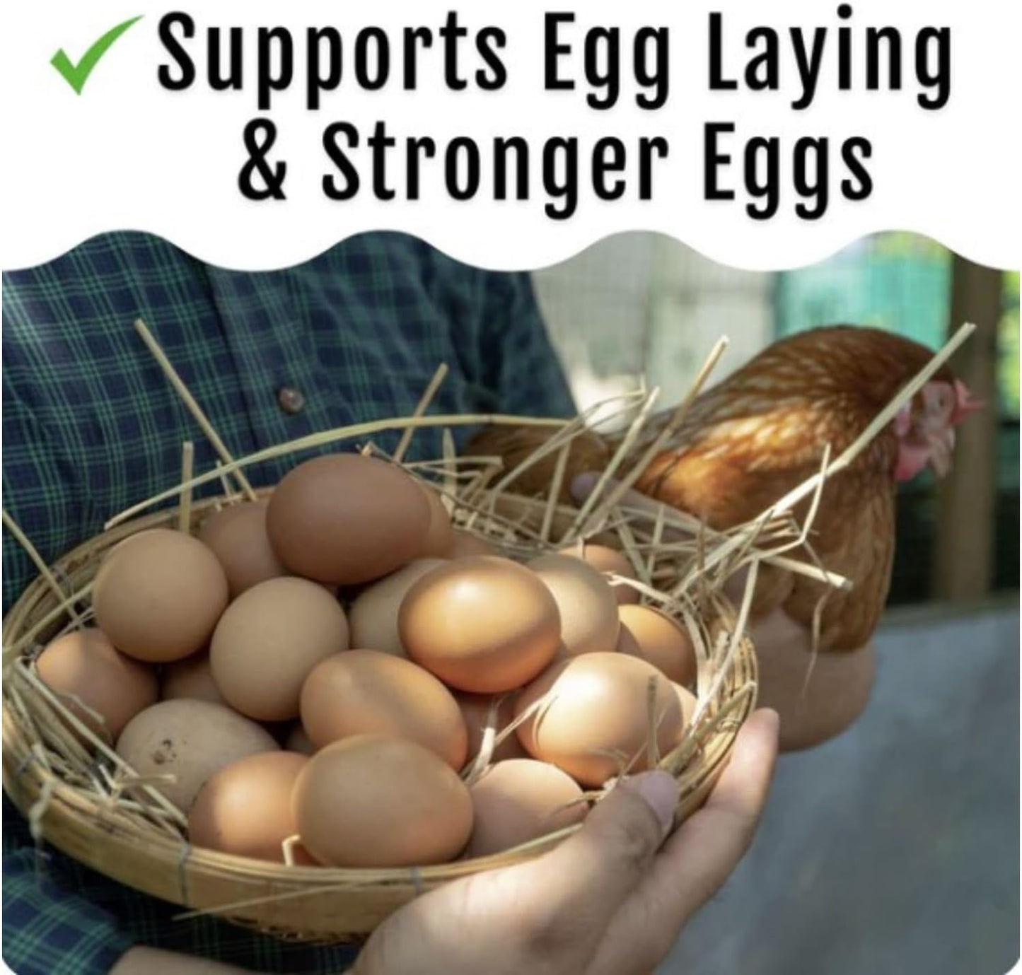 Grub Fuel Black Soldier Fly Larvae for Chickens - Nutrient Packed BSFL, Sustainably Sourced Snack for Poultry, Rich in Protein, Calcium, Fiber, Essential Fatty Acids, USA Grown (5LB)