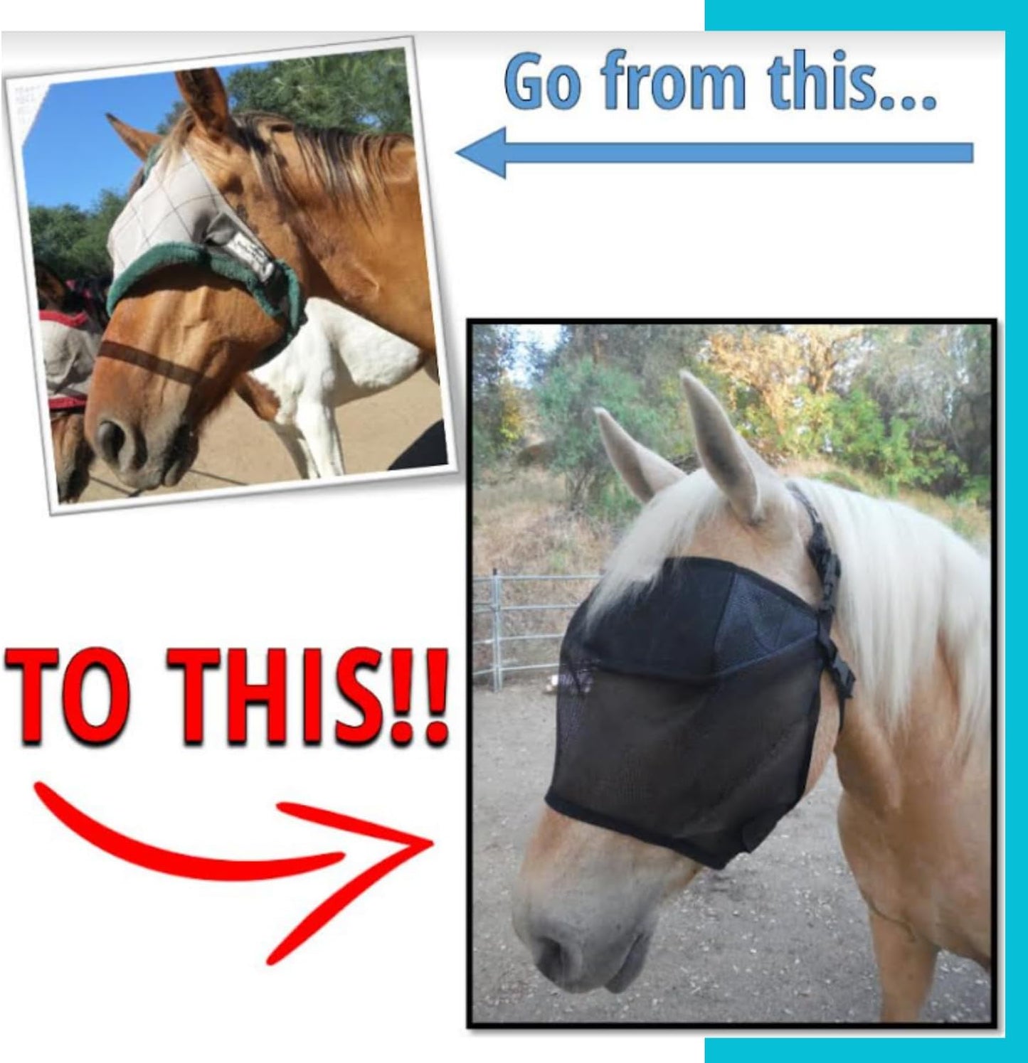 95% UV Eye Protection (Pony) Standard Horse Fly Mask - Help with Uveitis, Corneal Ulcer, Cataract, Light Sensitivity, Cancer. Designed to Stay On Your Horse, Off The Ground!