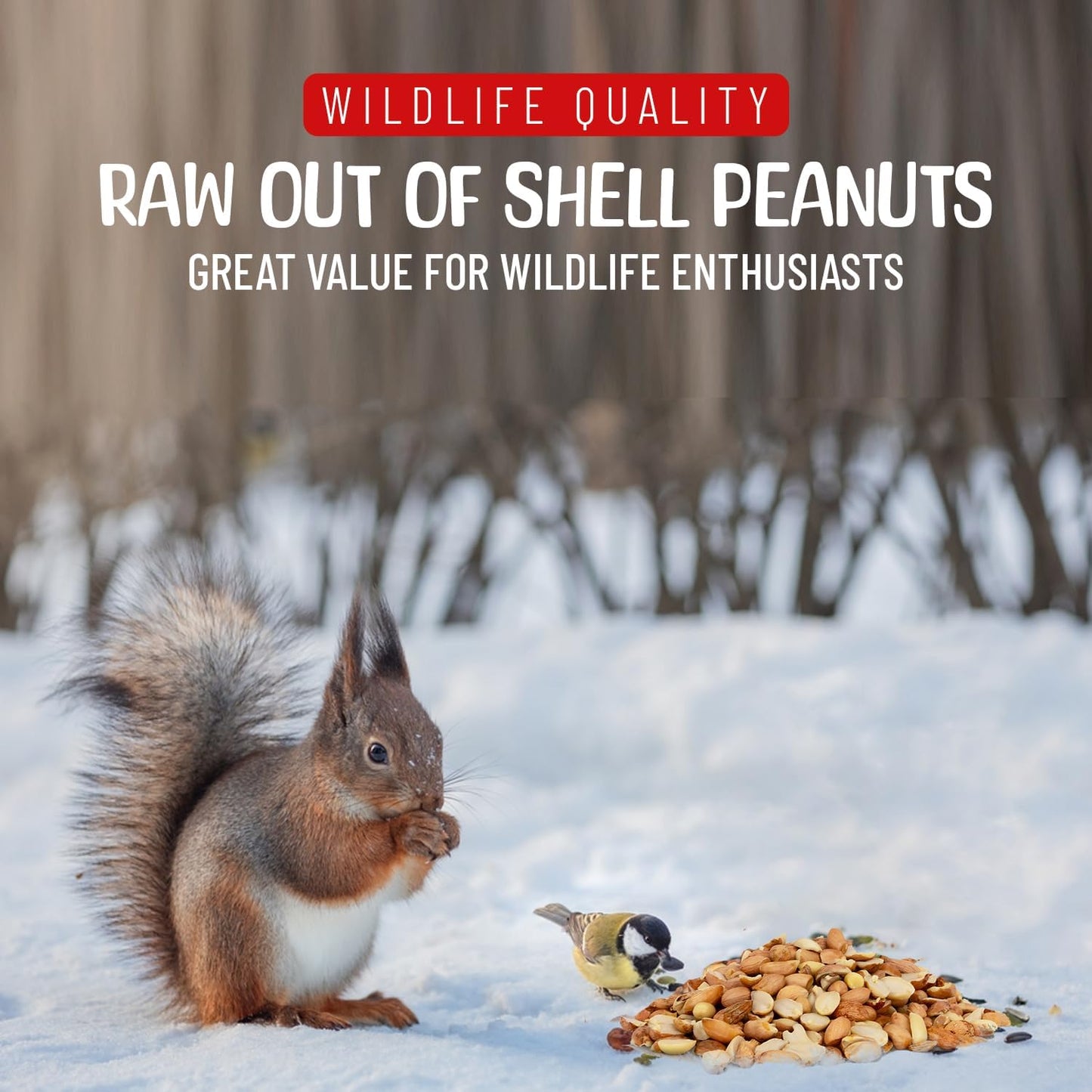 Premium Quality Raw Out of Shell Peanuts - 8 Pound - Shelled Peanuts for Birds – Wildlife Quality - Food for Squirrels, Deer, Birds, and Other Wildlife Animals – Grown in The USA