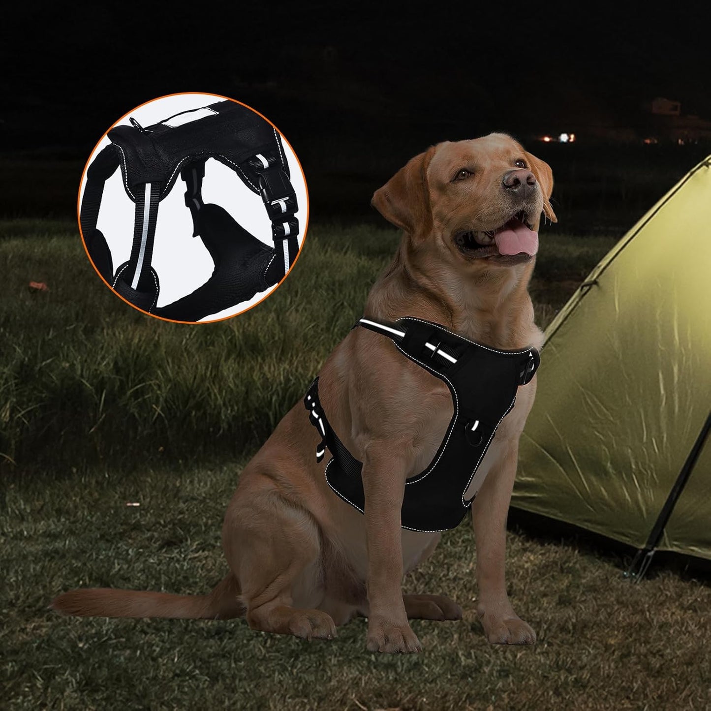 Amazon Basics No Pull Dog Harness, Adjustable Front Clip, Tactical Vest, Large, Black