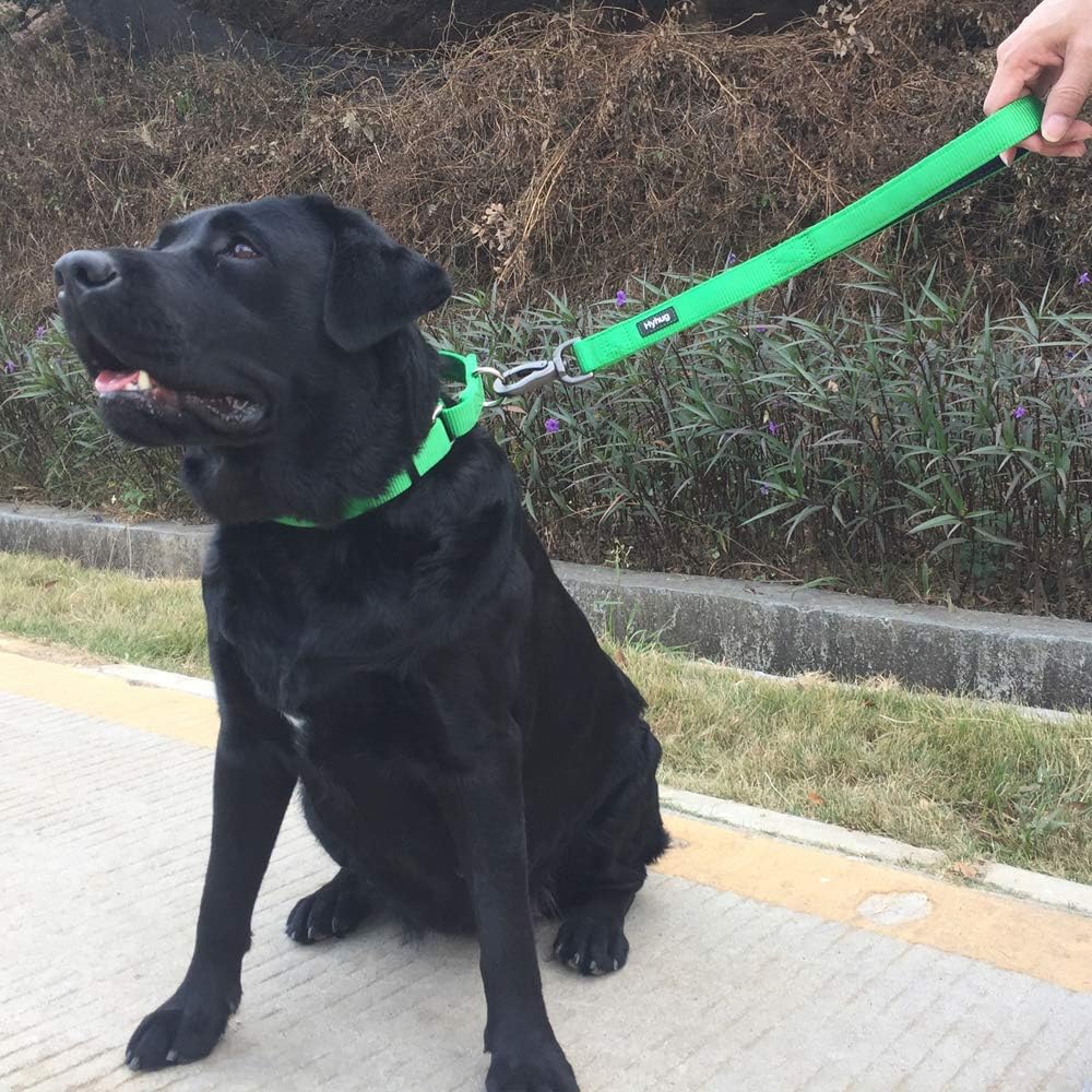 Hyhug Martingale Dog Collar Without Buckle: Escape-Proof, No Slip Heavy Duty Nylon, Colorfast Adjustable Pet Supplies for Large Breeds(Large, Lime Green)