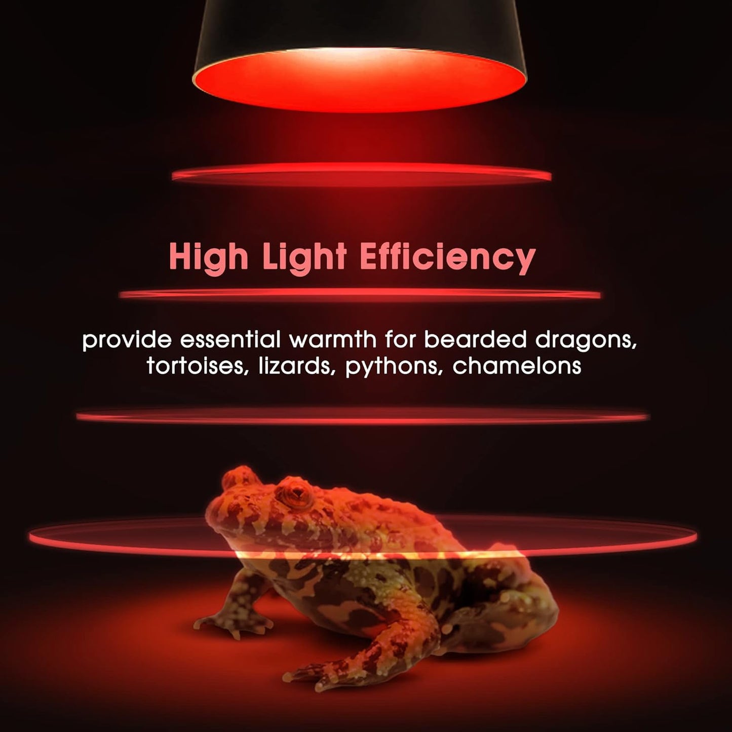 Briignite Reptile Heat Lamp Red, Reptile Night Lamp 50W, G9 Heat Bulb & Dome Reptile Light Fixture, Aluminum Reflector, Dimmable Heat Lamp for Chicken Turtle Snake Gecko Lizard, 2 Pack