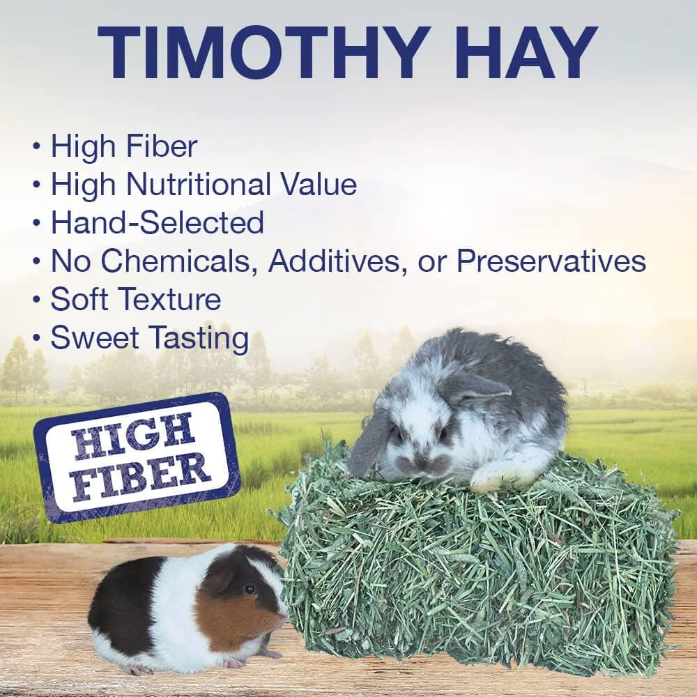 Grandpa's Best Timothy Hay Mini Bale, 10 Lbs (Packaging may vary),Brown