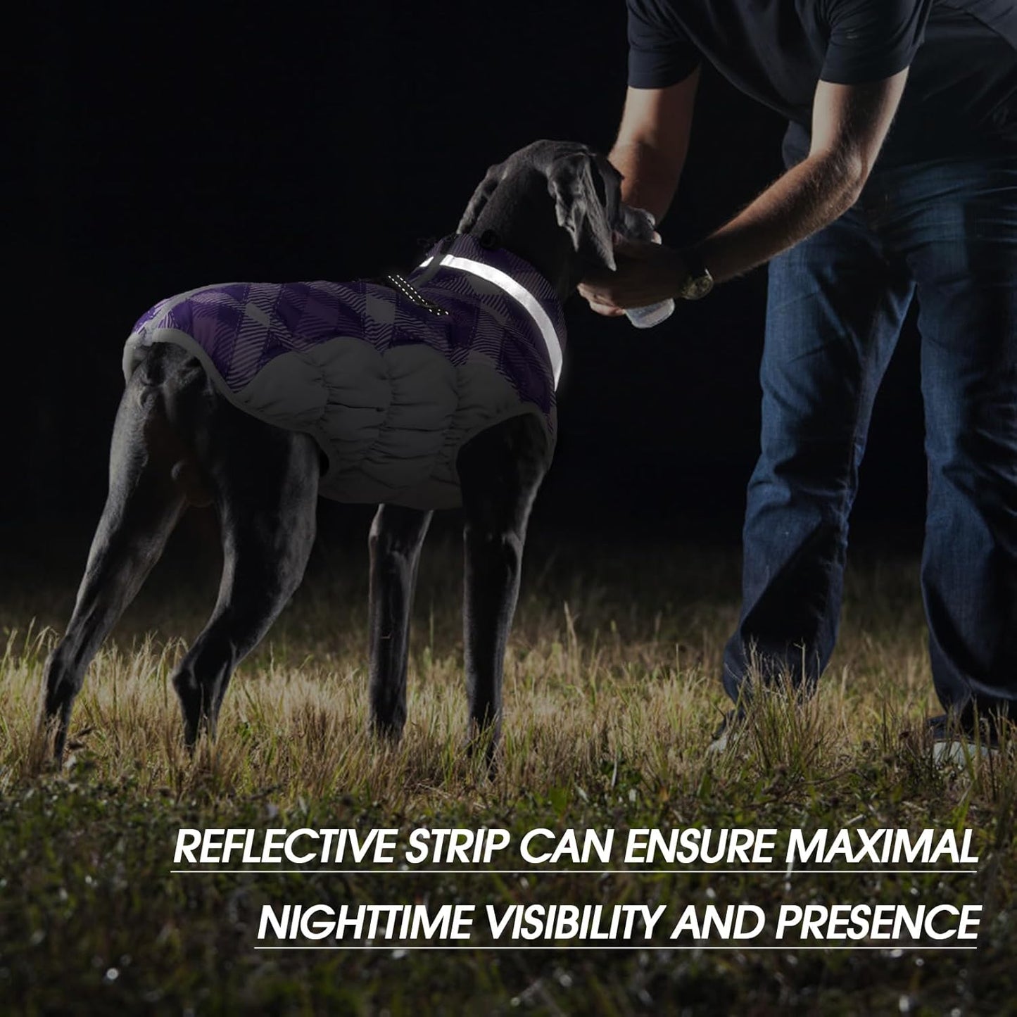 FUAMEY Dog Coat for Medium Dogs,Waterproof Dog Winter Jacket with Harness Built in Puppy Cold Weather Coats Reflective Pet Vest with Zipper Warm Fleece Dogs Snowsuit Windproof Purple Plaid M