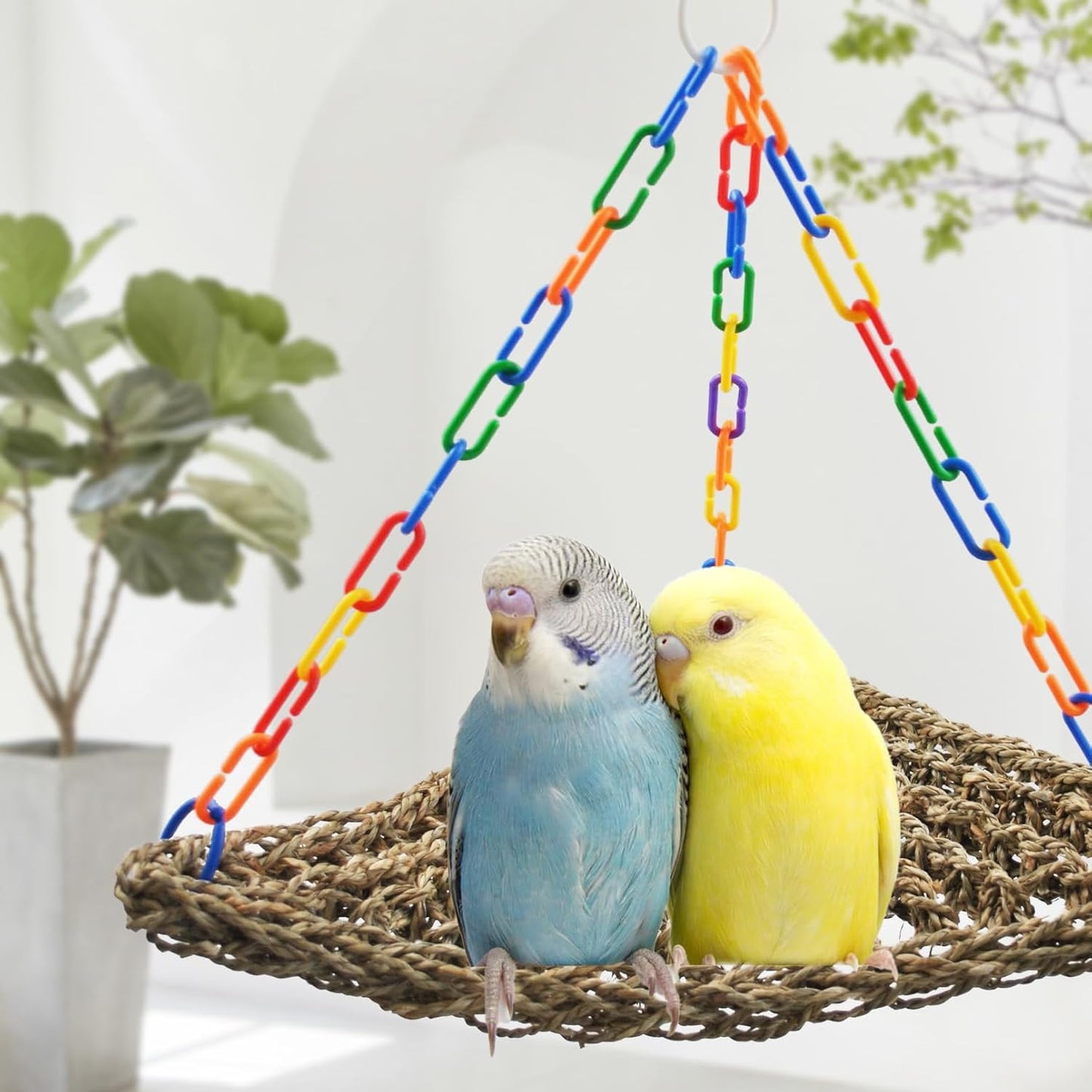 Bird Swing Toys,Parakeet Seagrass Mat,Edible Triangle Seagrass Hammock with Color Toys Handmade Woven Natural Grass Net Hanging on Parrot Cage for Budgies Lovebird Canary Cockatiel Finch Hamster