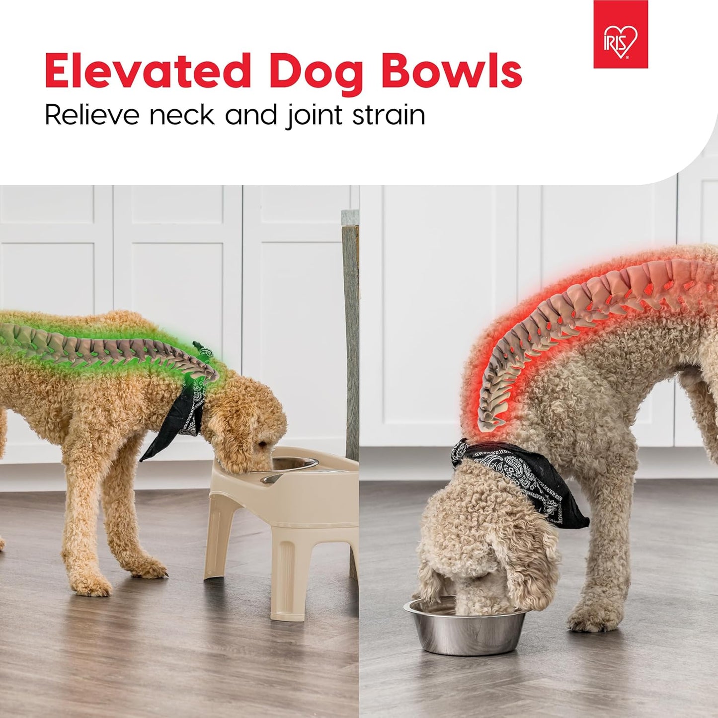 IRIS USA Elevated Dog Bowls, Adjustable Height, 2 Thick 64 oz Stainless Steel Bowls, Spill-Proof with Raised Outer Rim, Durable Made in USA Plastic, Easy Assemble, 2 Heights 4.63" or 12.25" Almond