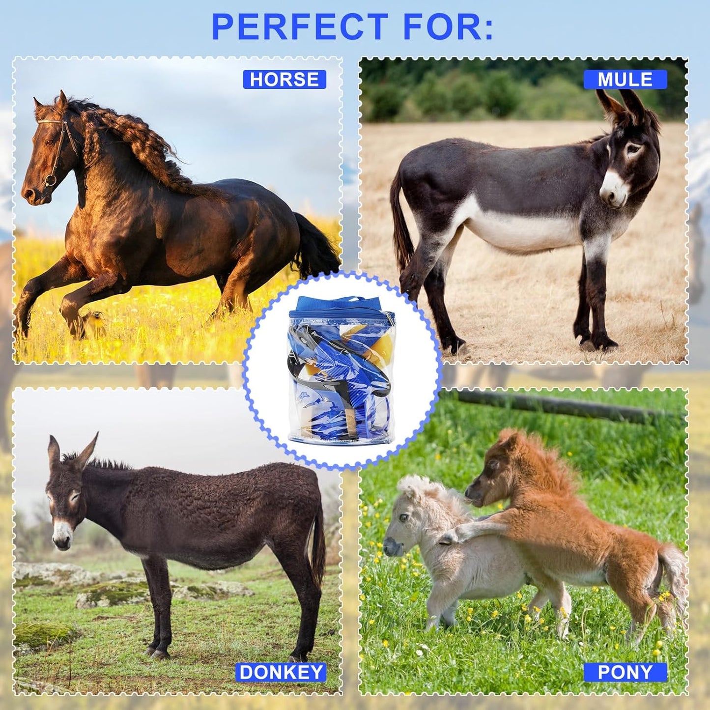 9 Pieces Grooming Kit with Tote Bag - Horse Brush Set, Sweat Scraper, Sponge, Hoof Pick, Curry Comb for Riders and Beginners (Blue)