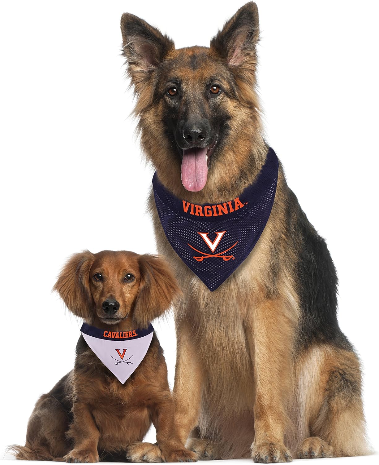 Pets First Collegiate Pet Accessories, Reversible Bandana, Virginia Cavaliers, Small/Medium
