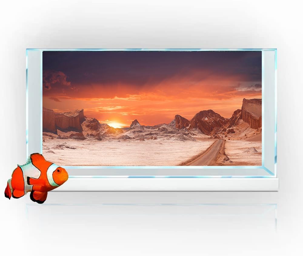 36X20IN Sun and Desert Moon Themed Reptile Habitat on Orange Durable Decorative Background, Terrarium Background with 10EVA Double-Sided Tape