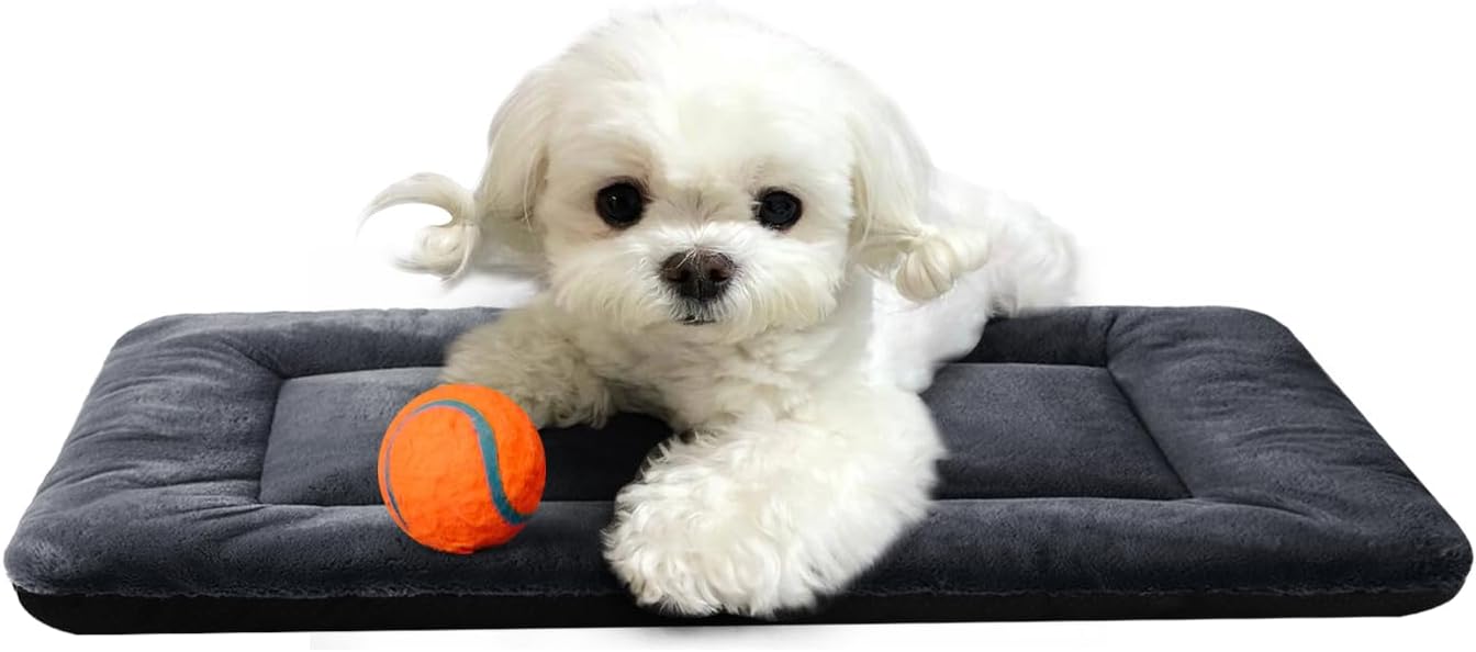 Extra Small Dog Bed - Soft Crate Pad, Washable & Anti-Slip, Dark Gray, 22 inch