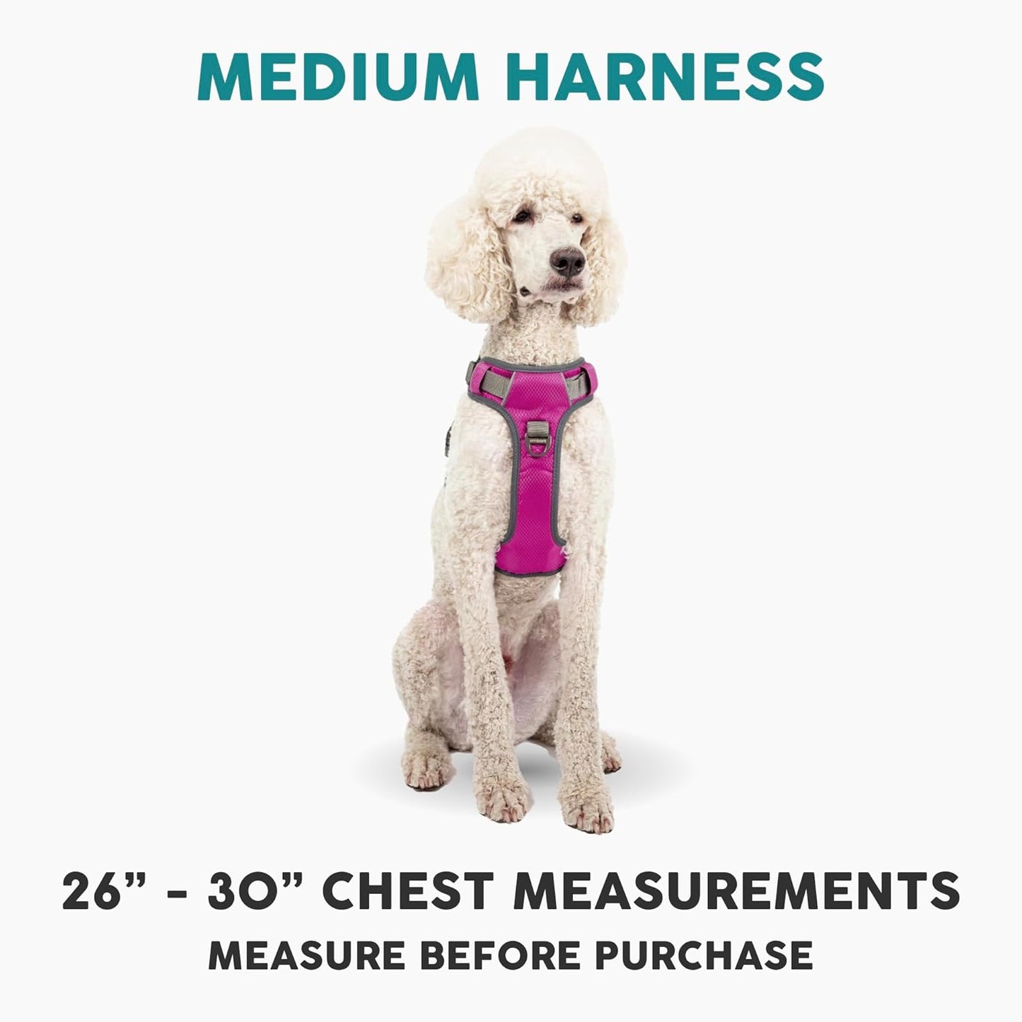 Embark Adventure Dog Harness, Reflective Trim No Pull Dog Harness Medium Sized Dogs - Military Grade Nylon, Front Clip with Gel Lined Handle.