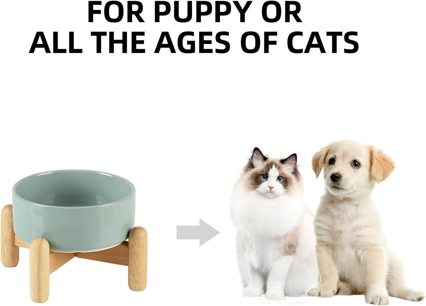 Ceramic 5.1inch Raised Dog and Cat Bowl Set, Elevated with Wooden Stand, Food and Water Bowl for Small Breed Dogs, Cats, Kitty, Weighted Dog Dishes, Pet Bowls(13.5oz, Light Green)