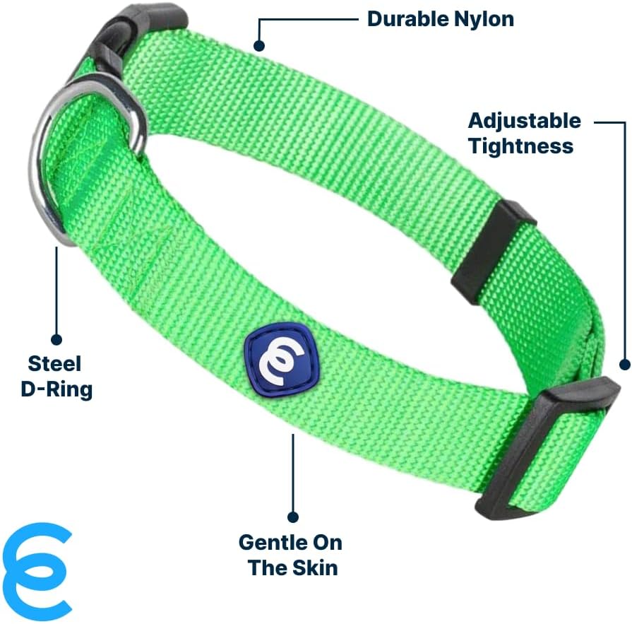 Blueberry Pet Essentials Small Dog Collar in Neon Green | Adjustable & Eco-Friendly Durable Nylon Strap | Classic Collar for Small Dogs, Boy & Girl Pets