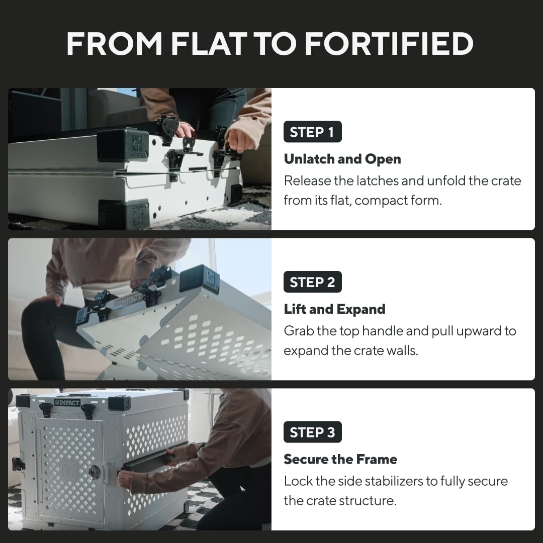 Impact Collapsible Dog Crate - Foldable Hard Crate for Intermediate Dogs - Heavy Duty Travel Kennel with Powder-Coated Aluminum - Quick Setup for Indoor & Outdoor (Black, 34" (34.5" L x 23" W x 29" H)