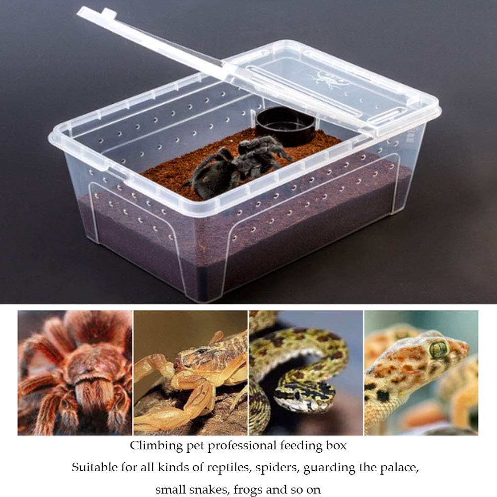 2 PCS Reptile Feeding Box Lizard Tarantula Habitat Cage Hatching Container Snake Breeding Box Transparent Portable Plastic Mini Pet Houses for Scorpion Spider Frog