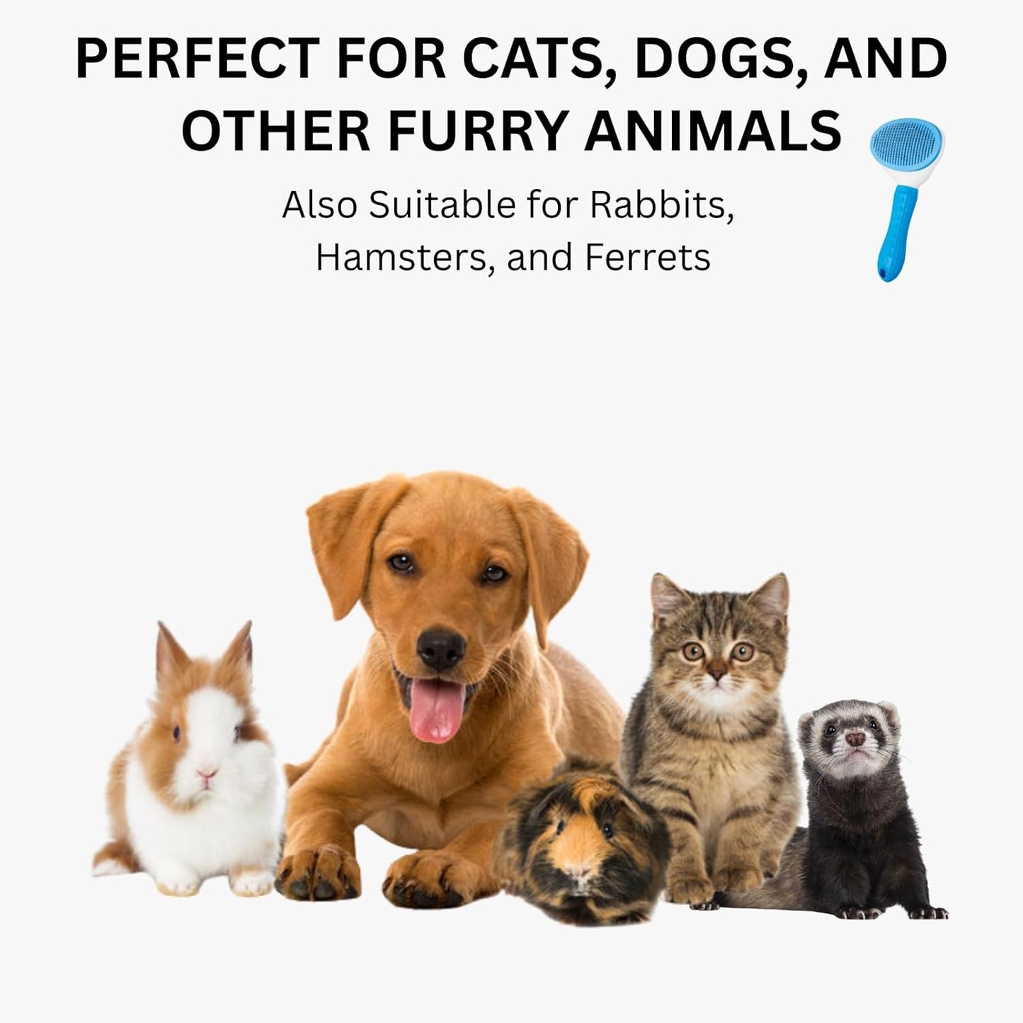 AIXINPET Cat & Dog Self Cleaning Slicker Brush - Easy to Remove Loose Fur, Harmless Deshedding Grooming Tool, Massaging Function - Suitable for Shedding & Furry Pets, like Rabbits and Ferrets