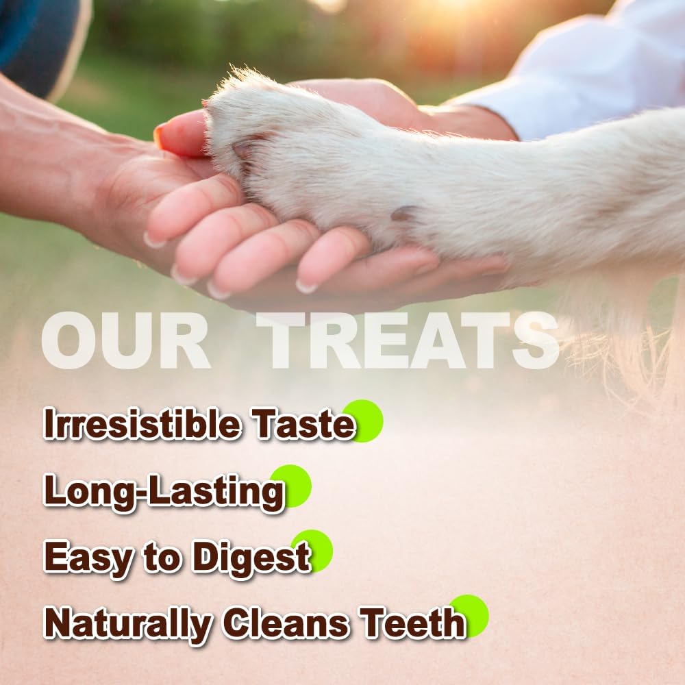 Afreschi Natural Turkey Tendon Lollipop Pack of 4, Dog Treat for Signature Series, All Natural Human Grade Puppy Chew, USA-Sourced Turkey Tendon, Rawhide Alternative