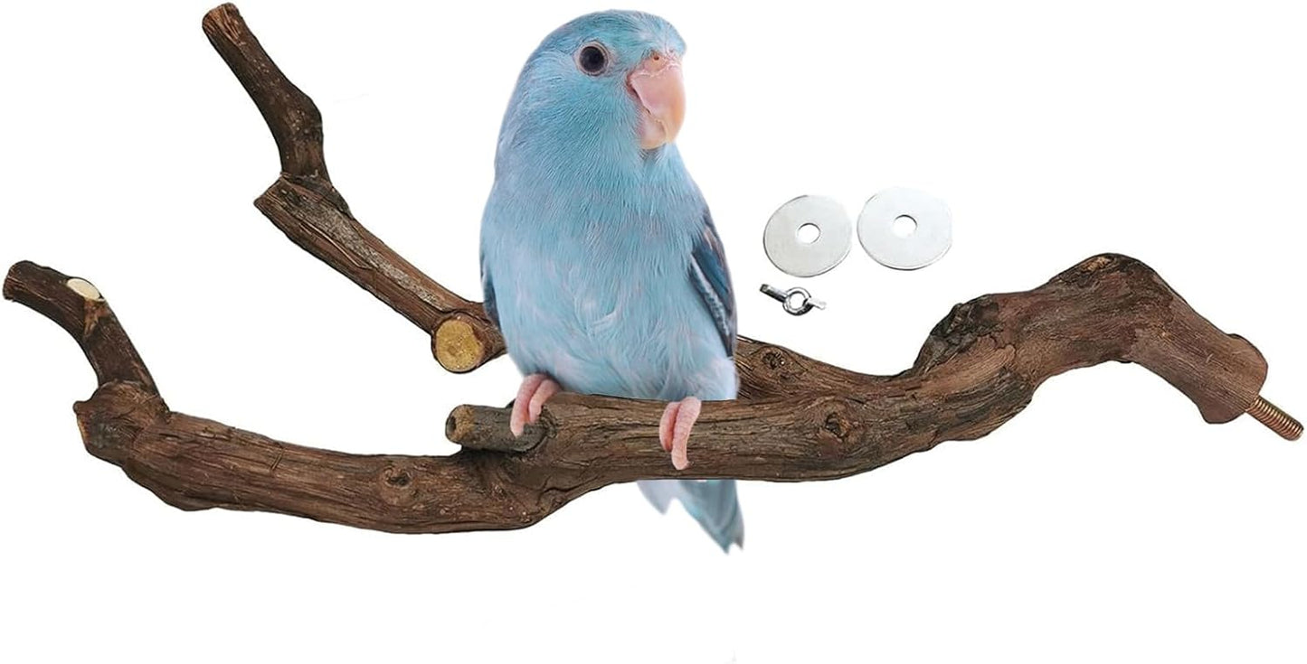 kathson Natural Parrot Perch Bird Stand Pole Wild Grape Stick Paw Grinding Fork Parakeet Climbing Standing Branches Toy Chewable Cage Accessories for Small Budgies Cockatiels Lovebirds