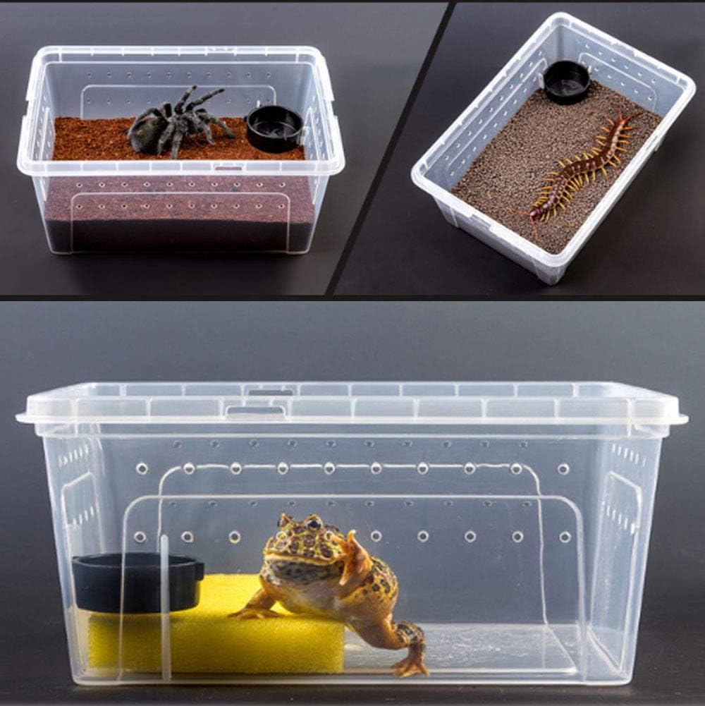 Hamiledyi Reptile Feeding Box Lizard Tarantula Habitat Cage Hatching Container Snake Breeding Box Transparent Portable Plastic Mini Pet Houses for Scorpion Spider Frog
