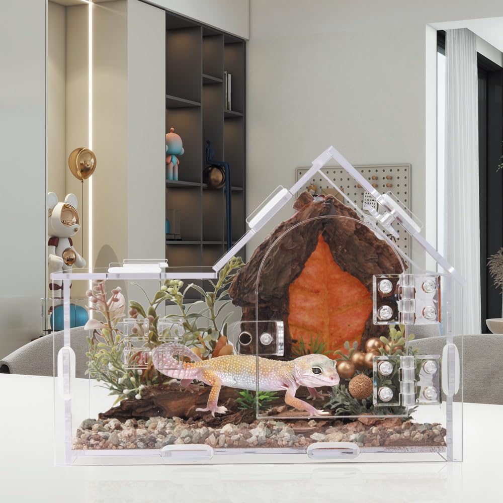 Acrylic Jumping Spider Enclosure - Versatile Reptile Enclosure with One-Click Magnetic Closure, Perfect for Tarantula, Gecko, Chameleon, Beetle, Mantis, and Hermit Crab