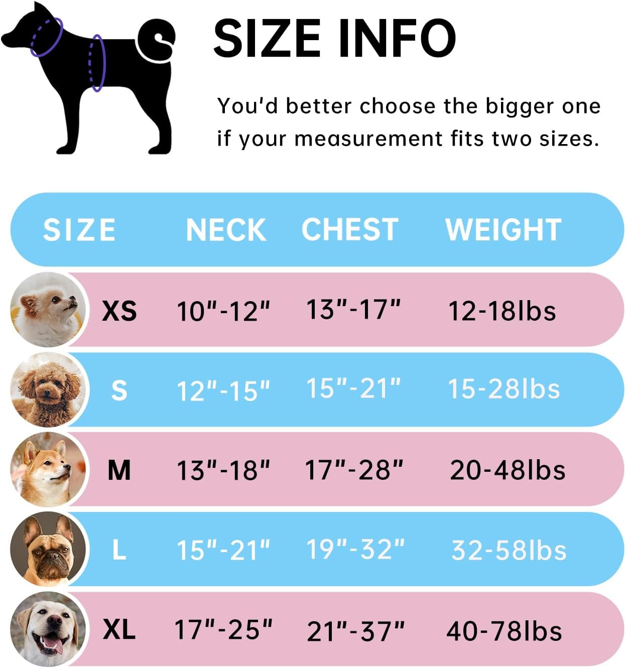 IVY&LANE No Pull Dog Harness for Large Dogs, Dog Vest Harness with Leash, Safety Belt and Storage Strap, Fully Adjustable Harness, 360° Reflective Strip, Soft Handle (Blue,XL)