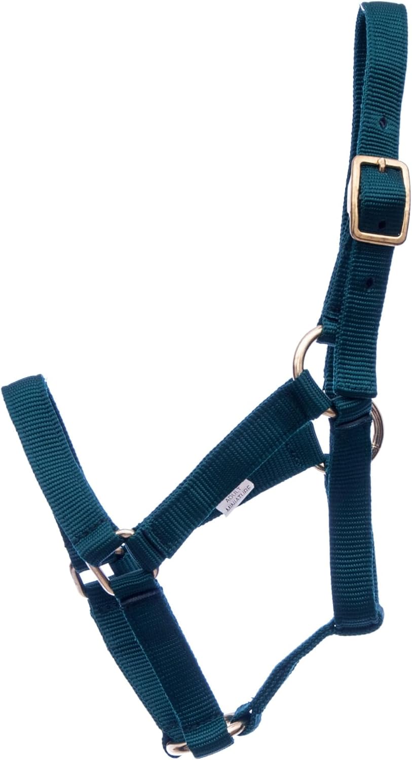 Jeffers Equine Mini Horse Halter – 3/4" Nylon Adjustable Halter for Miniature Horses, Ponies, Under 200 lbs – Heavy Duty Hardware, Secure Fit for Training, Turnout, Grooming, Travel – Dark Green