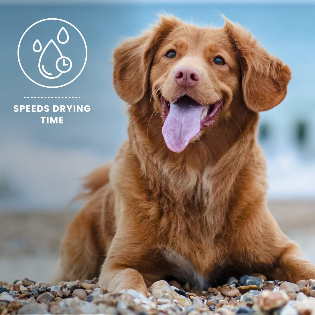 Best Shot UltraMAX Pro Finishing Spray, Ideal Detangler Spray for Pets, Hydrating and Soothing Pet Grooming Spray, for Dogs and Cats, 1.1 Gallon