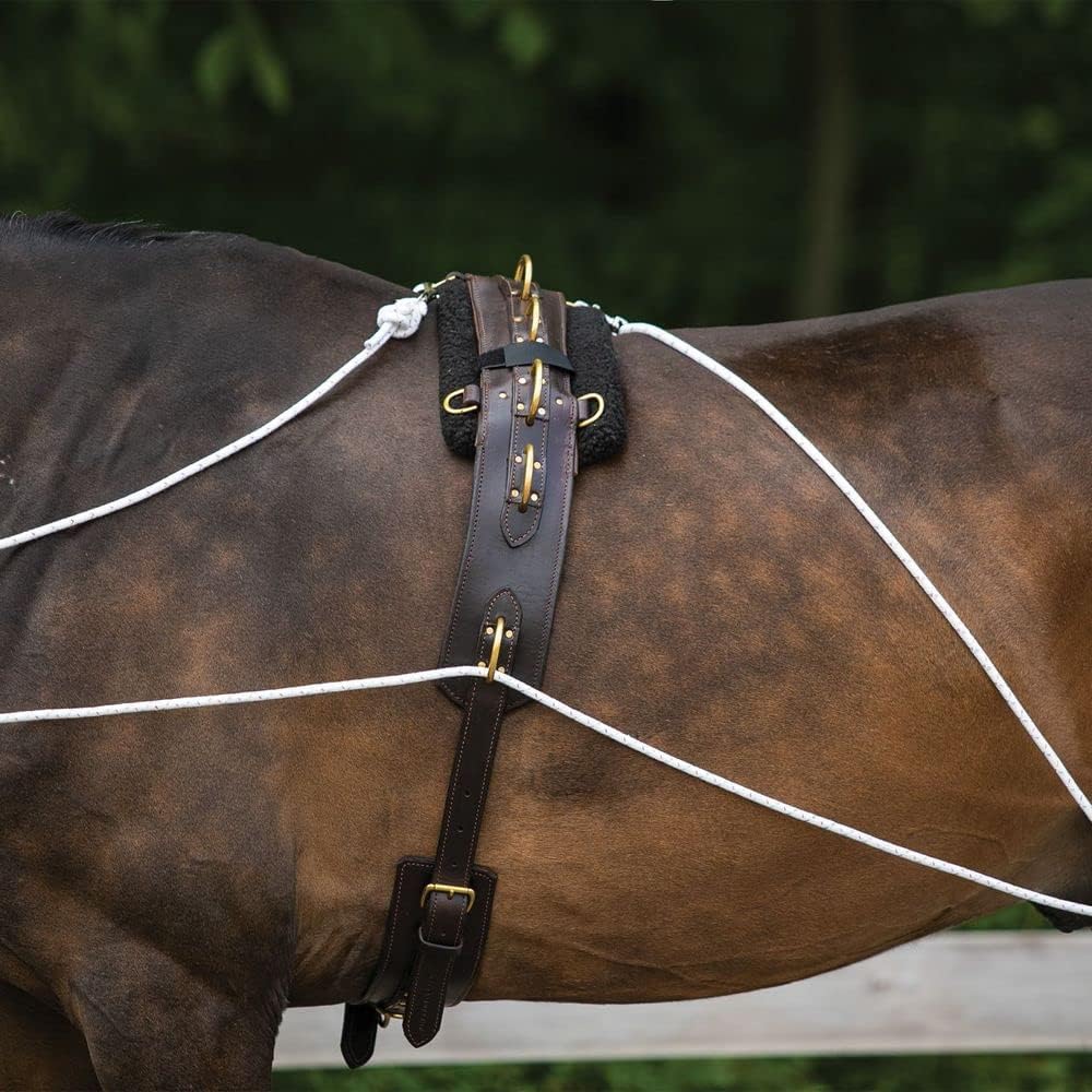 Advanced European Training System | Advanced Training Tool | Enhances Horse Carriage and Headset | Encourages Forward Movement | Strengthens Key Muscles | Not for Beginners