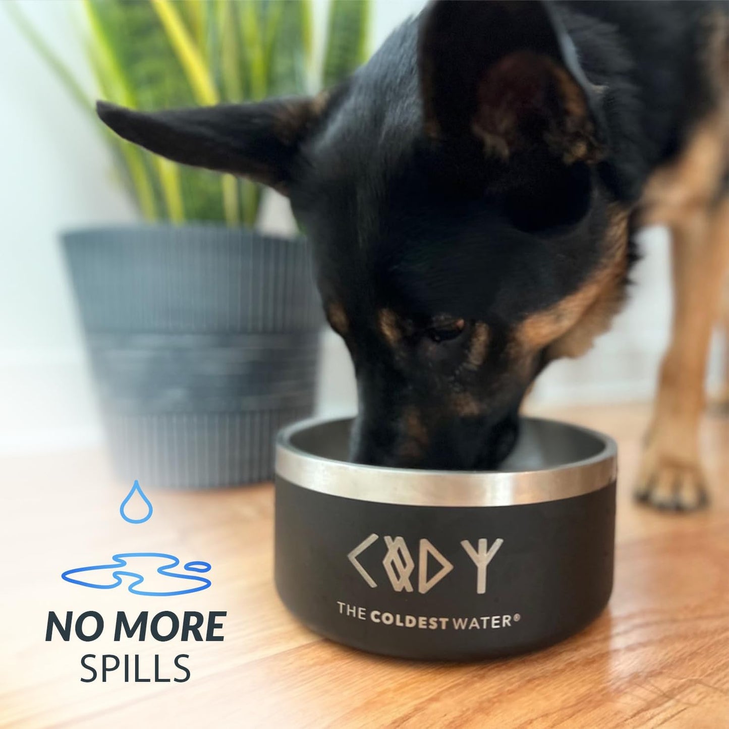 Coldest Dog Bowl - Anti Rust Metal, Non Slip, 3 Layers Insulated Stainless Steel Dog Bowls - Spill Proof & Heavy Duty - Water Bowl for Dogs, Cats & Pets, Dish Washer Safe (42 oz, Terraform Green)