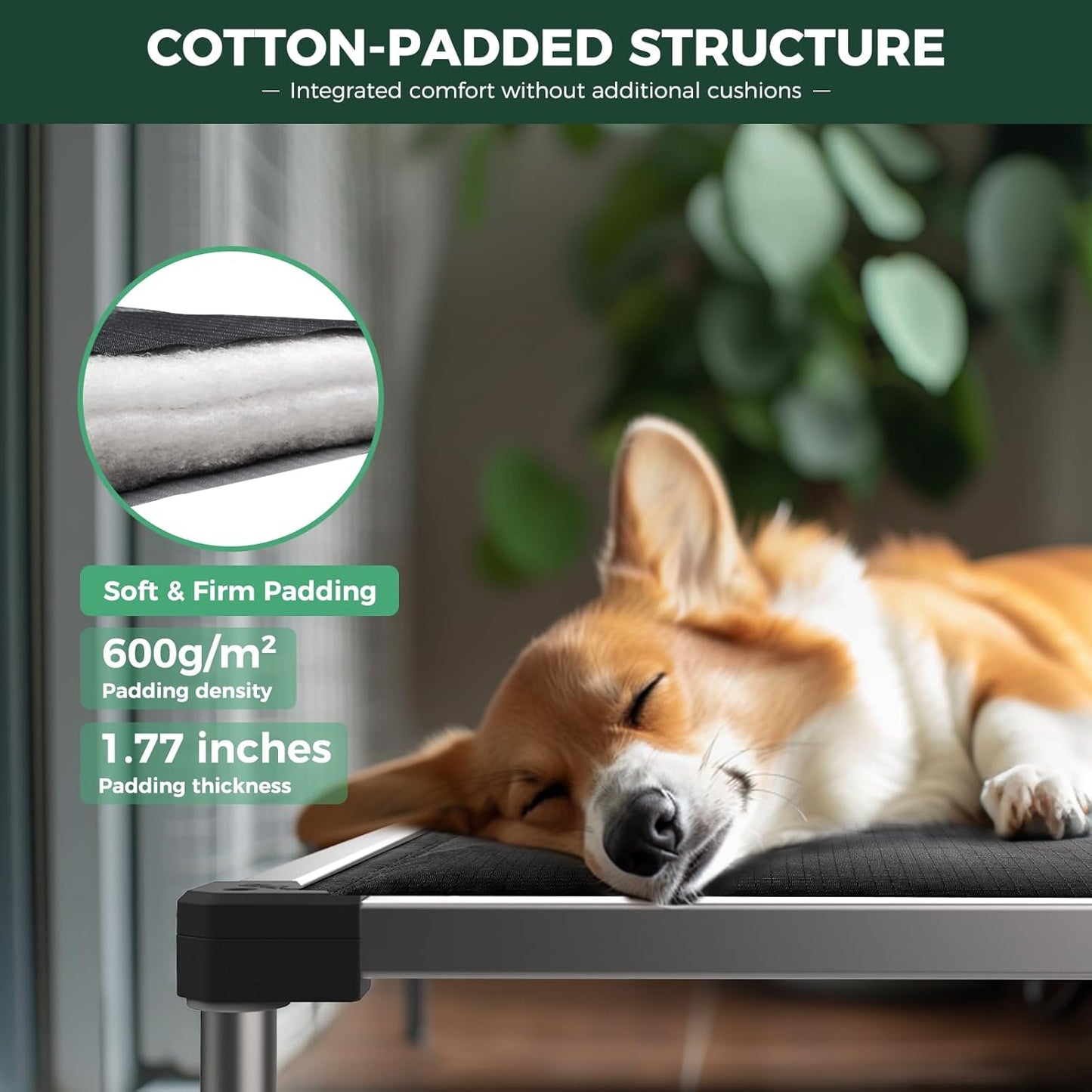 FXW TitanNest Chew-Proof Elevated Dog Bed, Raised Cot for Indoor/Outdoor/Camping Use, Durable & Washable Padded Pet Bed for Extra-Small Dogs, 29.0" L x 18.0" W x 4.5" H, Black