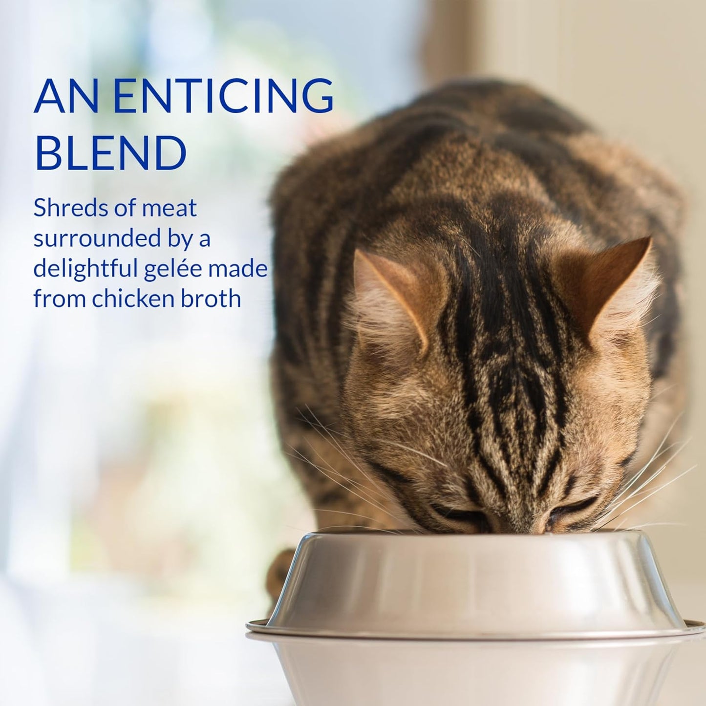 INABA Churu Stew for Cats, Side Dish Pouch with Vitamin E, 1.4 Ounces per Pouch, 12 Pouches, Chicken with Salmon Recipe