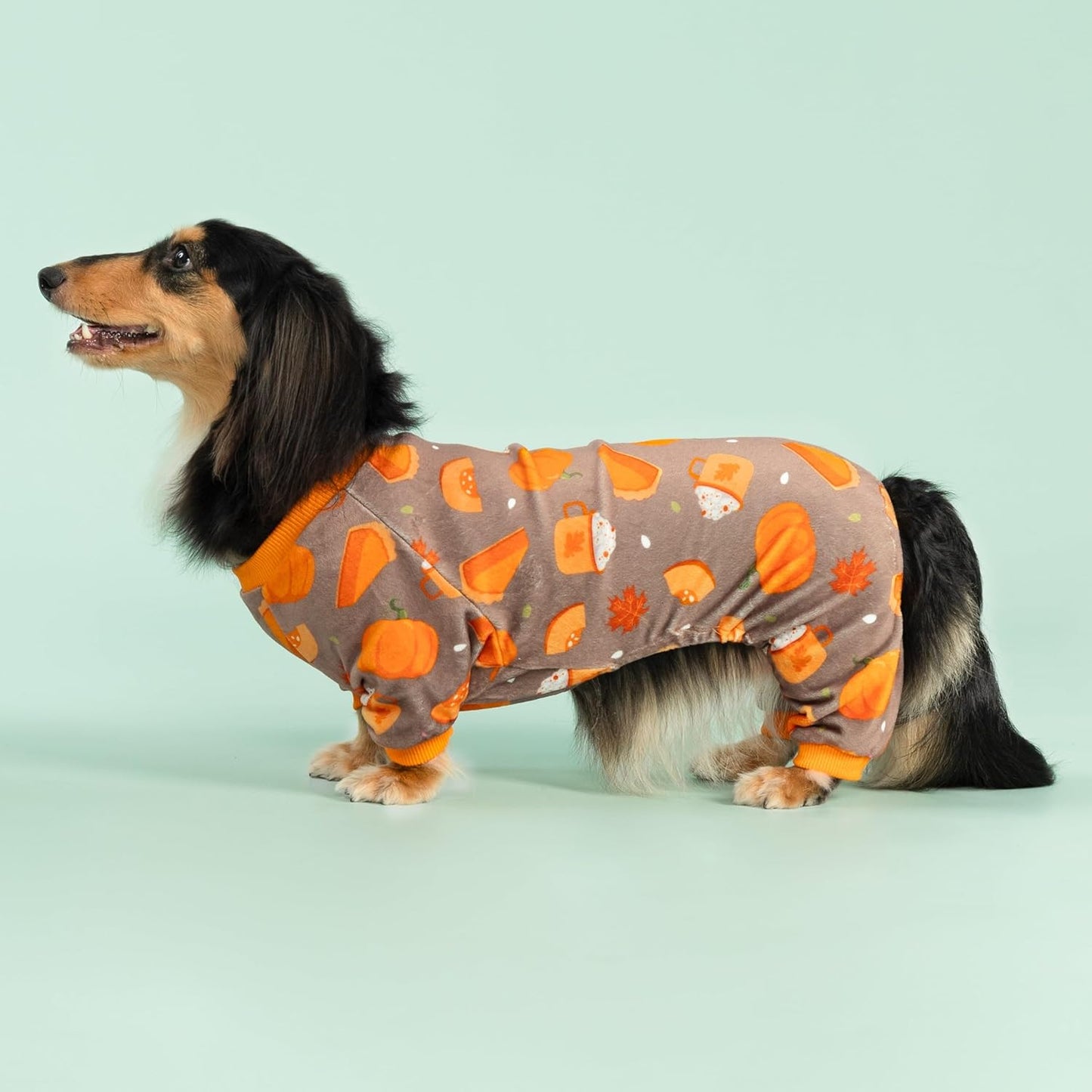 Fitwarm Pumpkin Dog Pajamas, Thanksgiving Outfit for Small Dogs Boy Girl, Pet Onesie, Brown, Orange, Small