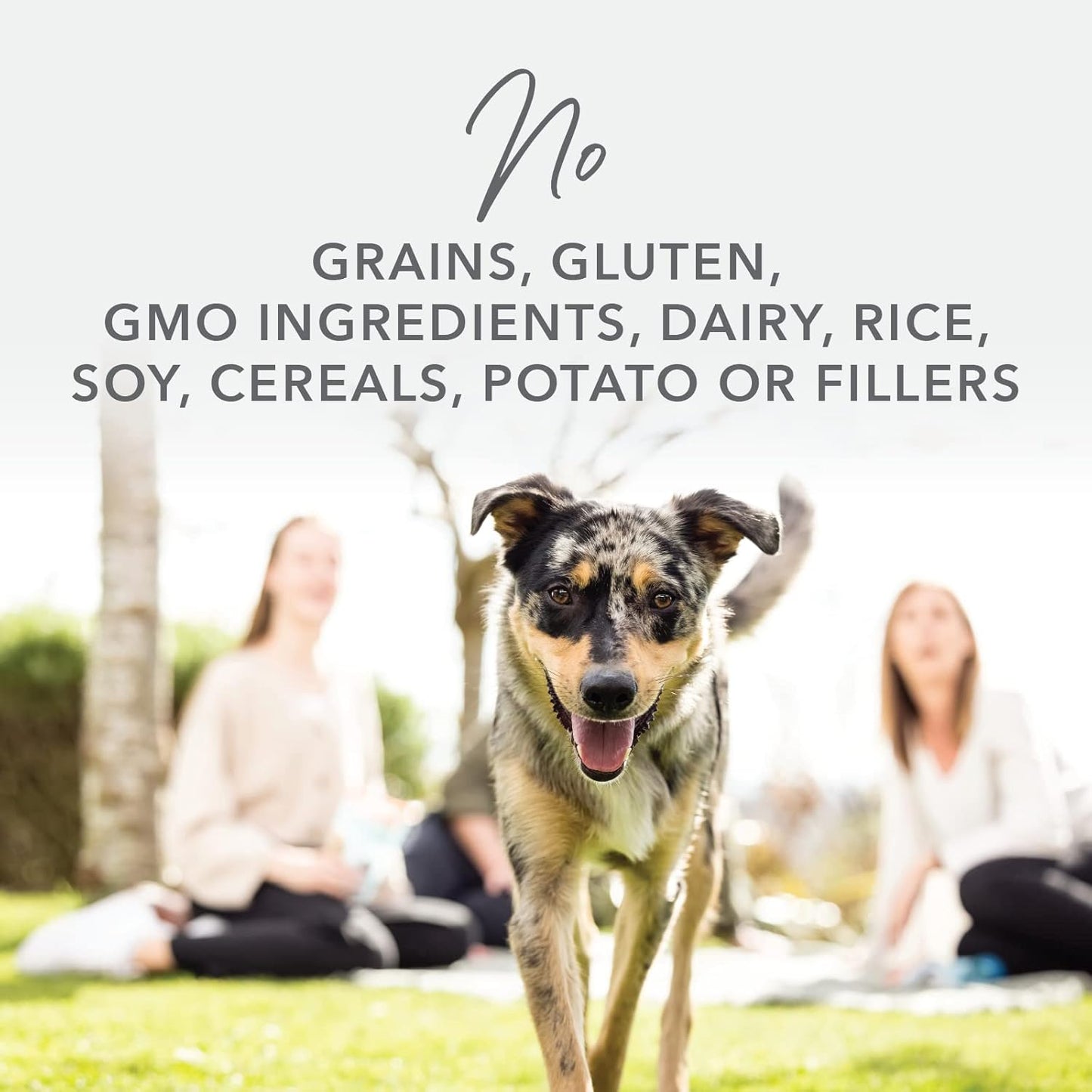 K9 Natural - Grain Free Freeze Dried Dog Food - Lamb, 1.1lb