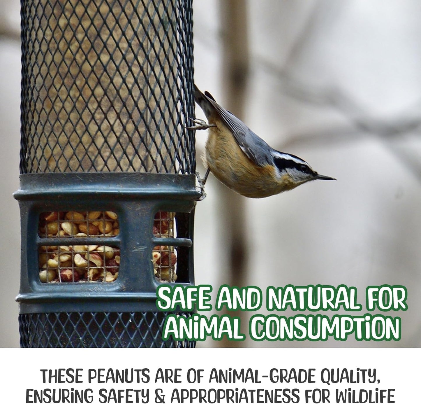 Premium Quality- 25 Pound Raw Peanuts in Shell – All-Natural Food for Squirrels, Deer, Birds, and Other Wildlife Animals – Bulk Wholesale Bag – Grown in The USA for Healthy Nutrition