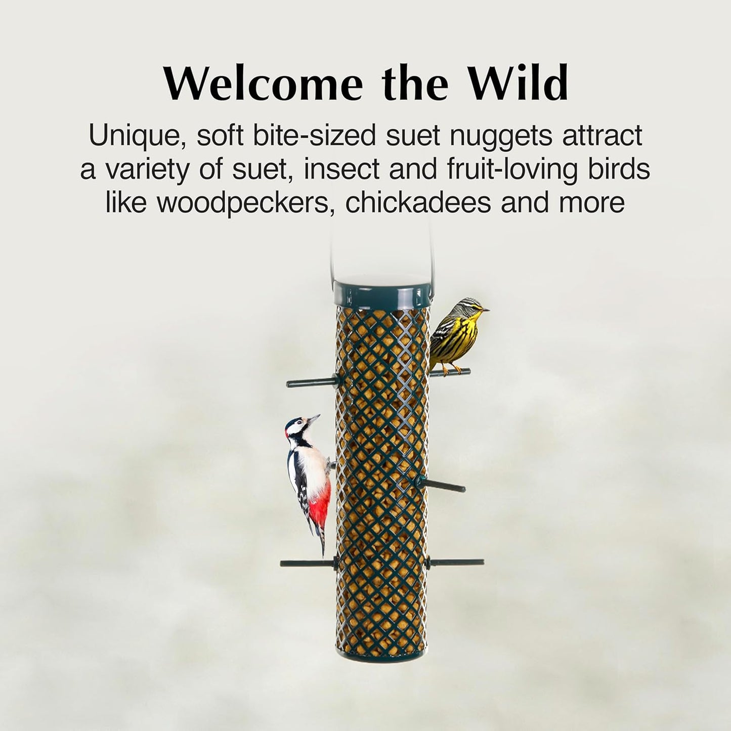 C&S Sunflower Suet Nuggets, Suet Nuggets for Wild Birds, 27 Ounces