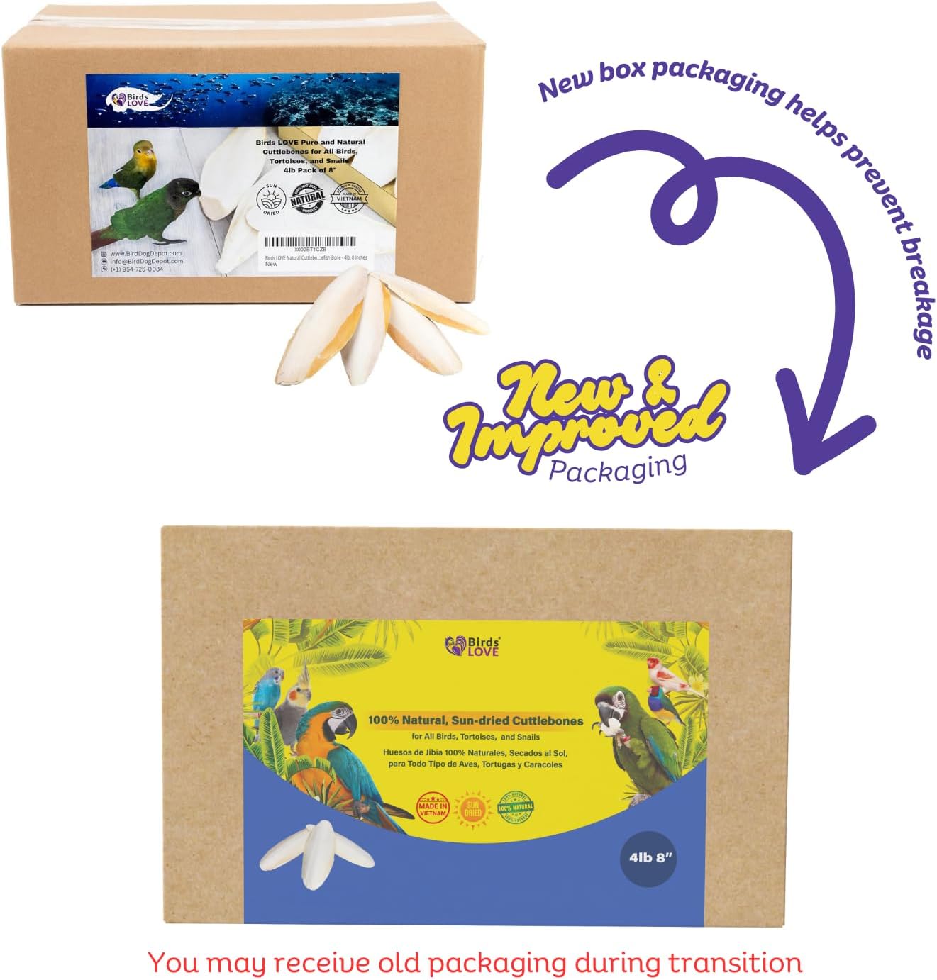 Birds LOVE Natural Cuttlebone – Premium Calcium for Cockatiel, Parrots, Tortoise, Snails, Crabs and Chinchillas - Pure Cuttlebone for Birds - Parakeet Food and Bird Treats - 4lb, Size 7.5 to 8"