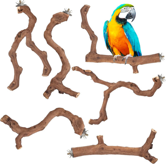 6-Piece Premium Bird Perch Stand with Natural Grape Wood Branch, Paw Grinding Fork, Chewing Stick, Cage Accessories for Parakeets, Budgies, Cockatiels, Finches, Lovebirds