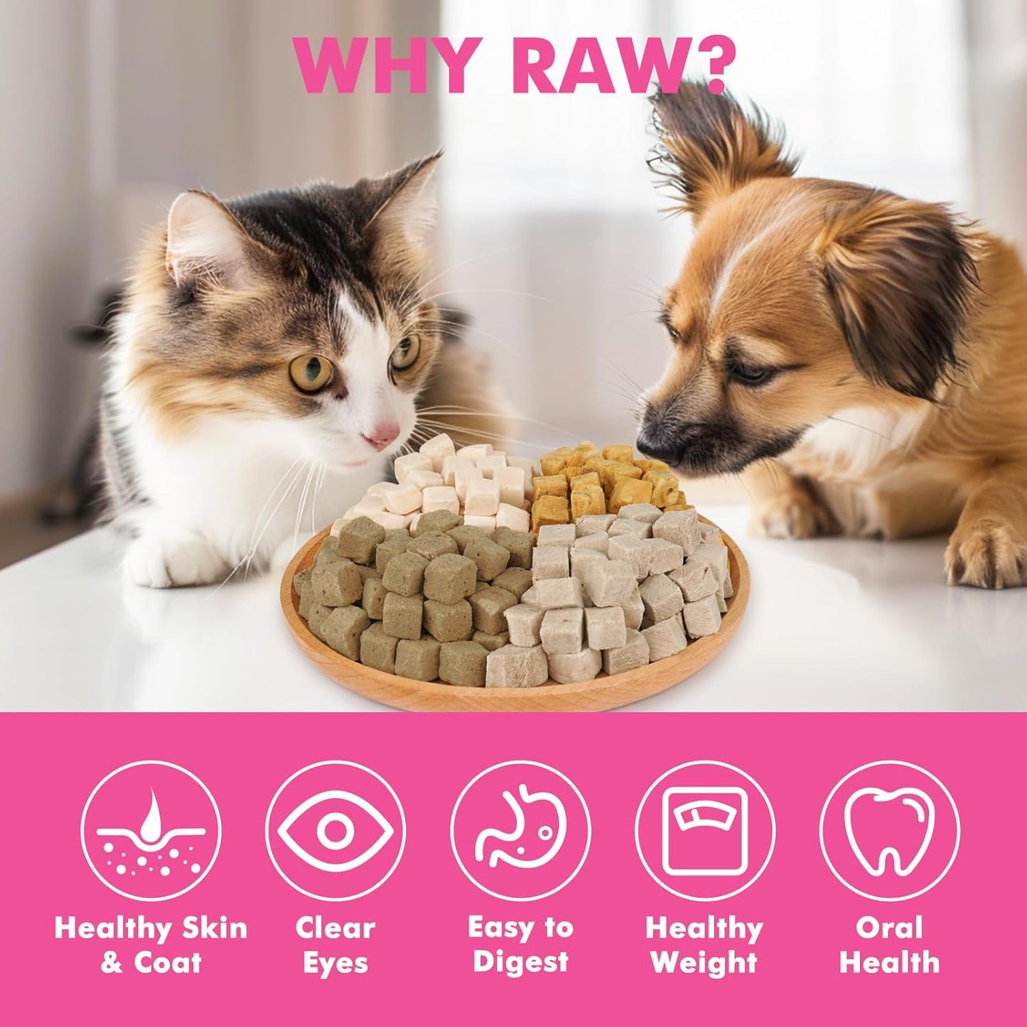 Freeze Dried Cats & Dogs Raw Treats, All Natural Single Ingredient Duck Breast, High Protein Healthy Pet Training Treats or Food Topper, 3.5 oz
