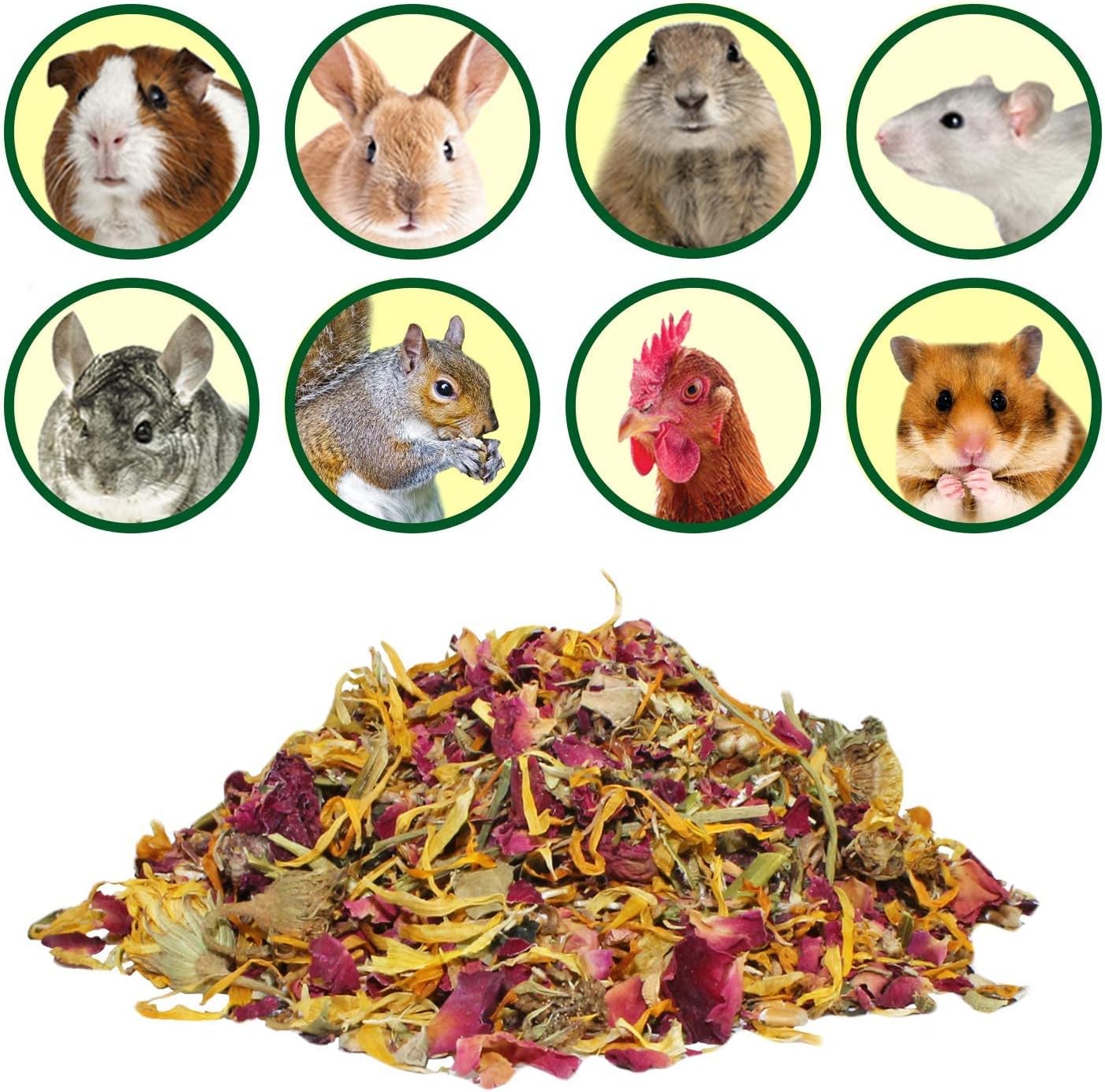 Flower Fusion Treat (1/2 lb) - Healthy Natural Dried Flower Herbivore Treat - Chinchillas, Guinea Pigs, Rabbits, Prairie Dogs, Degus, Hamsters, Rats, Squirrels, Sugar Gliders & Other Small Pets