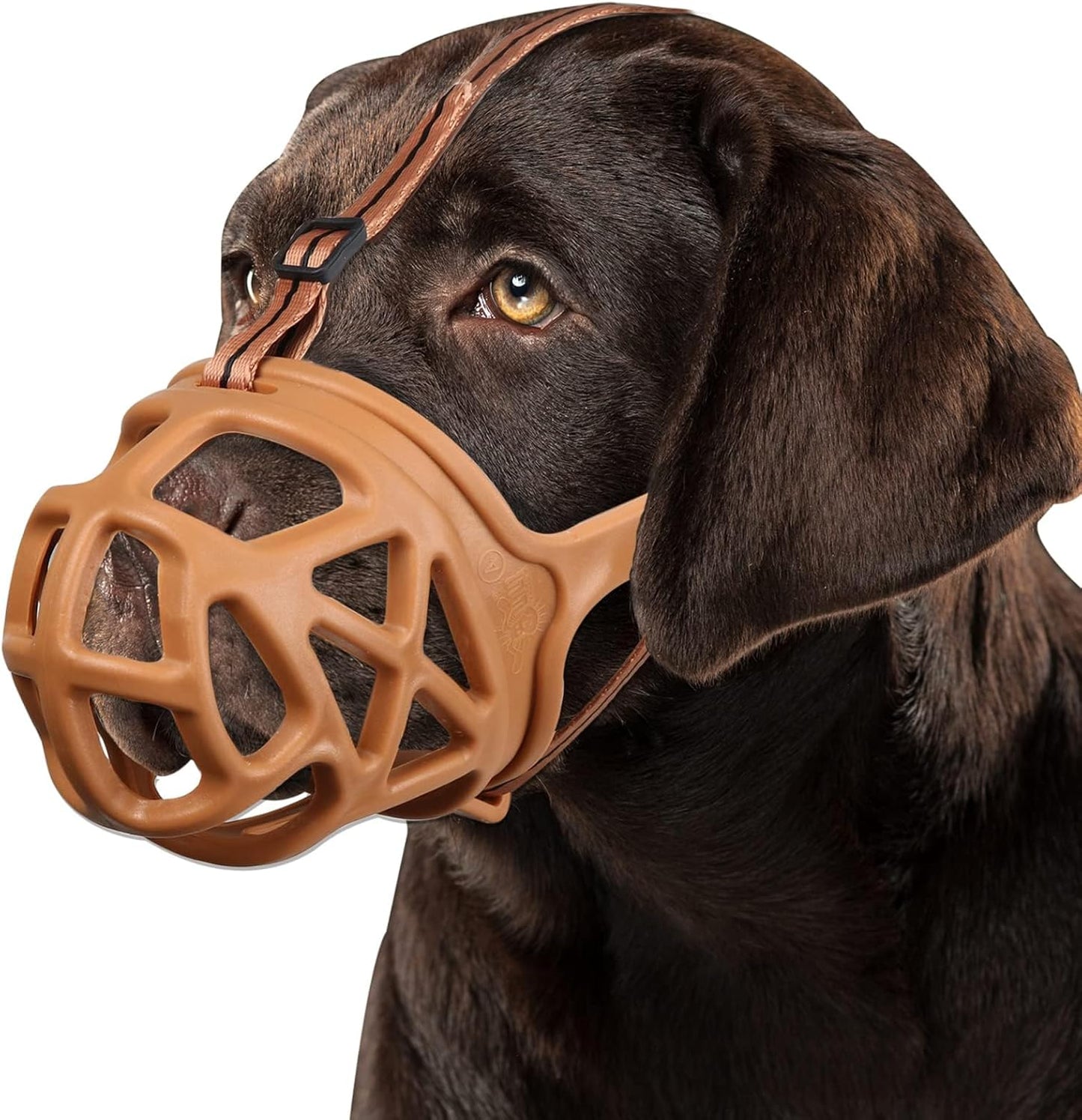 BARKLESS Dog Muzzle, Basket Muzzle for Biting, Chewing and Scavenging, Humane Cage Mouth Cover, Perfect for Grooming and Training Small Aggressive Reactive Dogs (S, Brown)