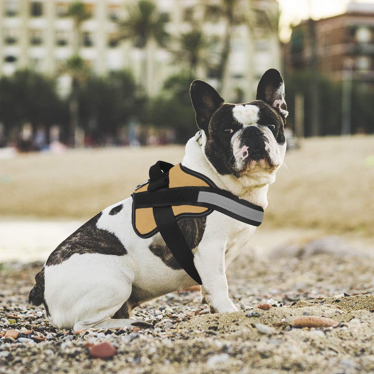 Bolux Dog Harness, No-Pull Reflective Dog Vest, Breathable Adjustable Pet Harness with Handle for Outdoor Walking - No More Pulling, Tugging or Choking (Army Yellow, S)