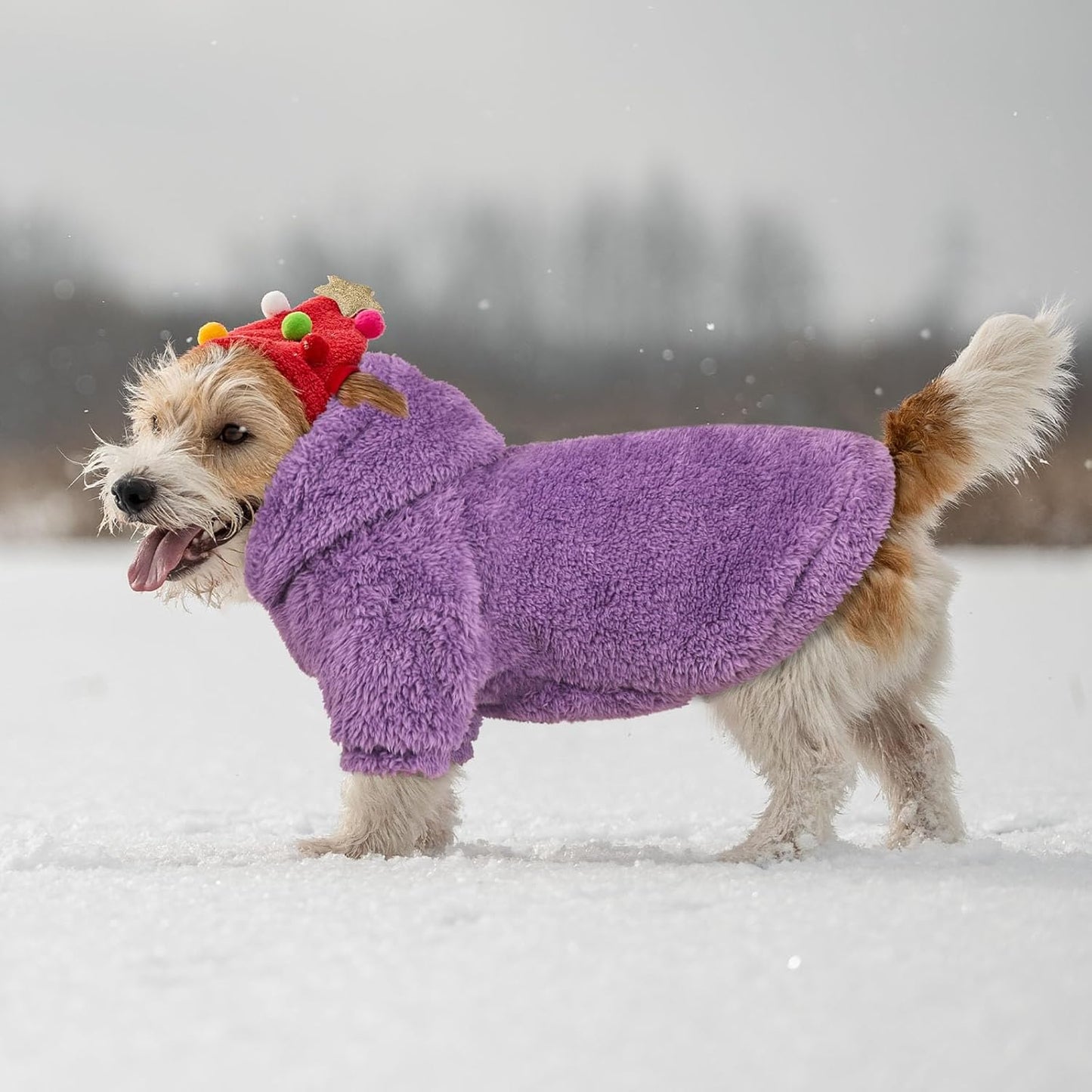 Fuzzy Dog Hoodie Dog Sweaters for Small Dogs Soft Double-Sided Plush Fleece Pet Sweater Pet Clothes Coats Hoodie Sherpa Hooded Sweatshirt(Purple-XS)