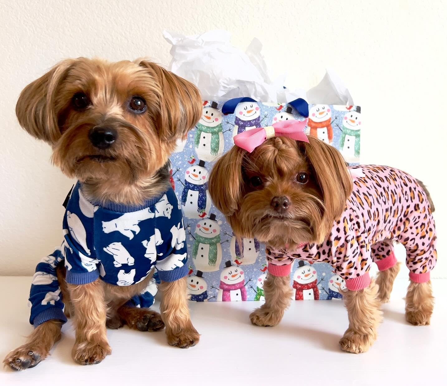 Fitwarm Leopard Dog Pajamas, Fleece Dog Clothes for Small Dogs Girl with Legs, Pet Onesie, Cat Outfit, Pink, XXL