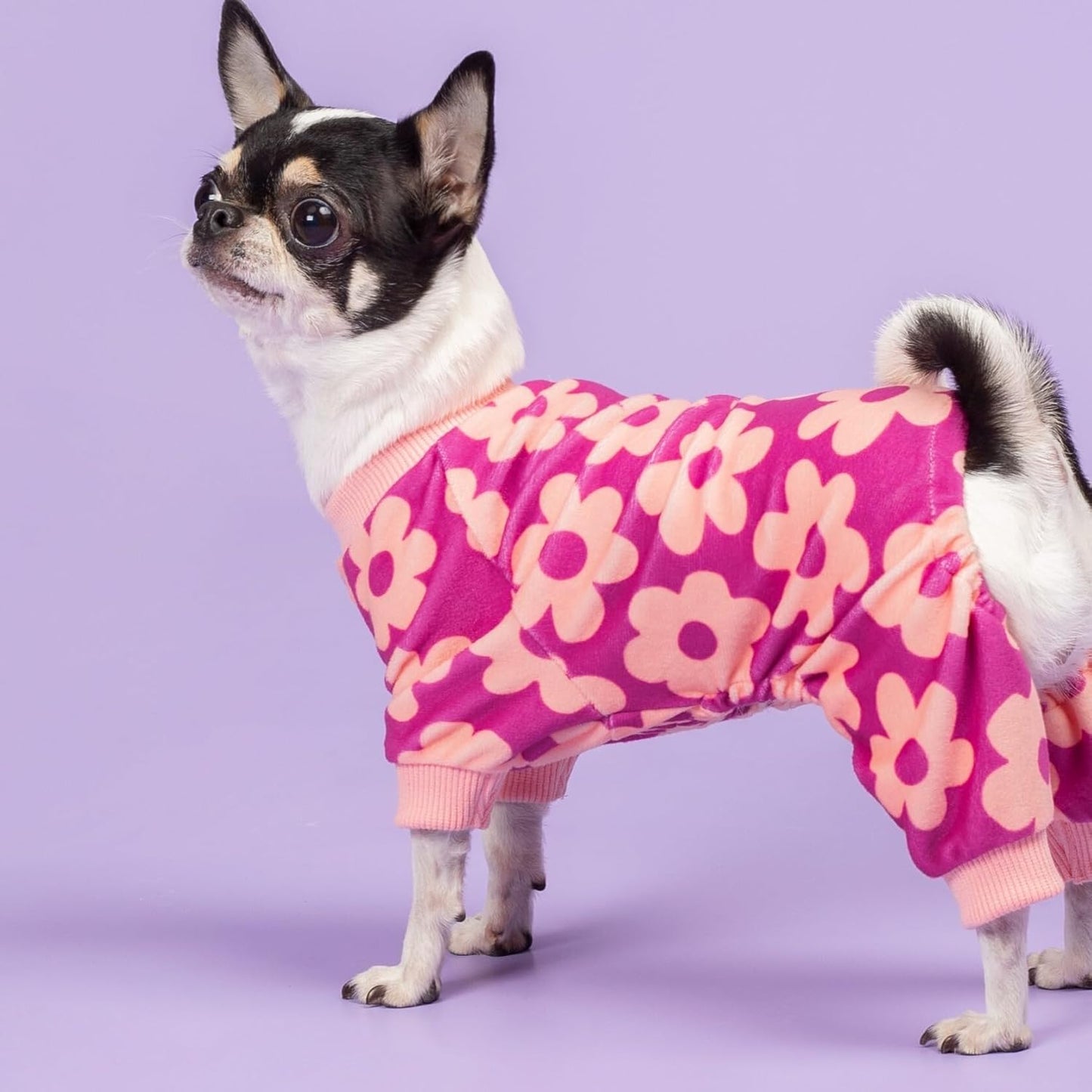 Fitwarm Flower Fleece Dog Pajamas, Warm Winter Dog Clothes for Small Dogs Girl, Cozy Pet Onesie with Feet, Pink, XS