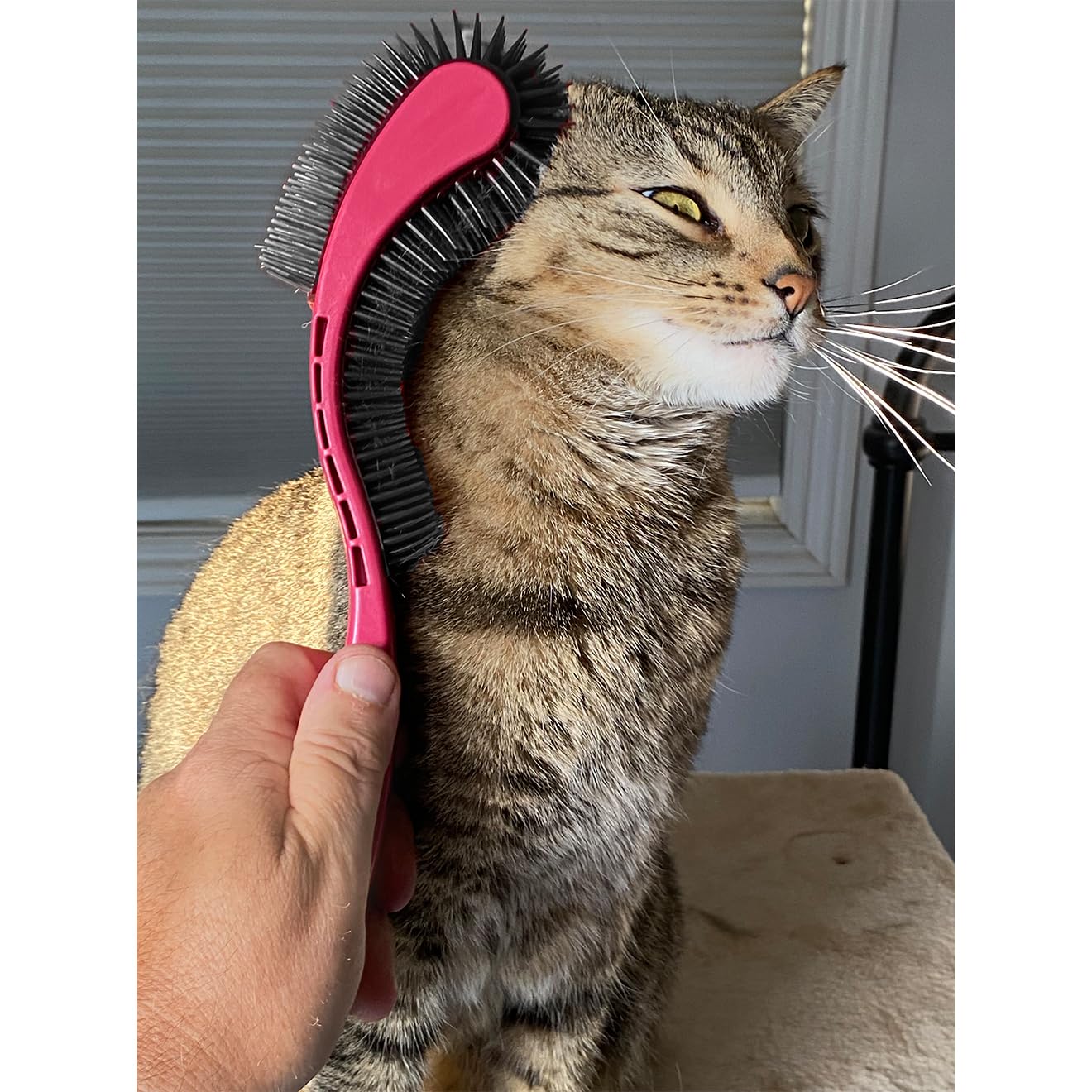 (Pink) Designed for Comfort, Created for Results. This innovative grooming brush features multi contoured bristles that gently adapt to your cats body for a stress-free brushing experience.