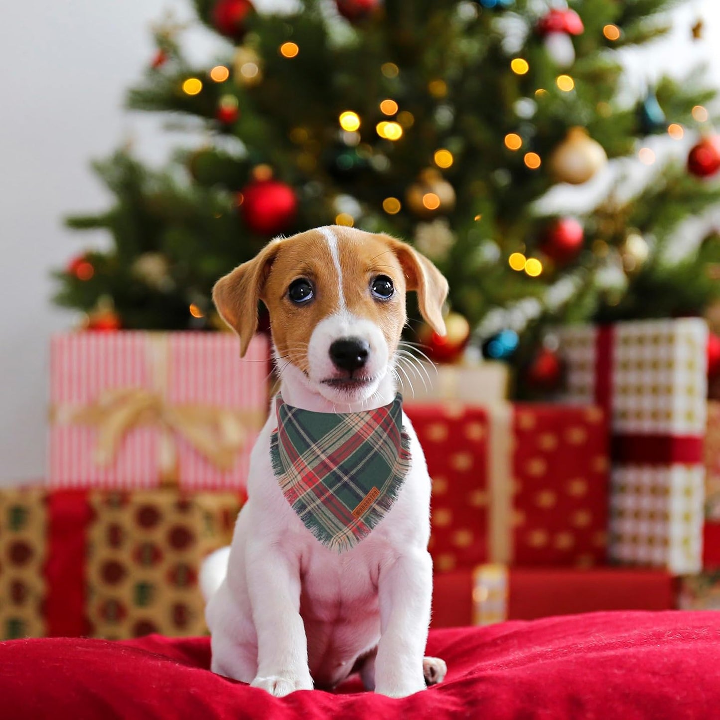 ADOGGYGO Christmas Dog Bandanas with Tassels Edges, Stylish Plaid Dog Christmas Scarf Bib, Multiple Sizes Offered, Plaid Bandanas for Small Dogs (Small)