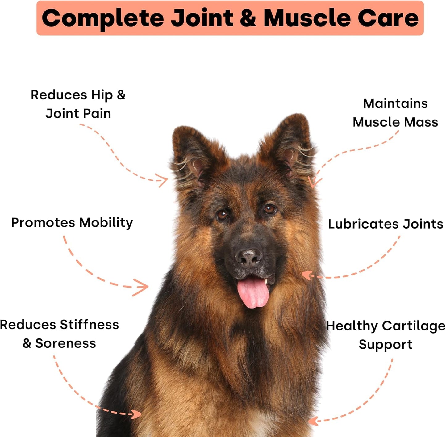 Joint & Recovery | 2-in-1 Joint & Muscle Chews. Help Reduce Pain & Increase Daily Activity. Helps with Arthritis and Pain Prevention. Tasty Trout Flavor.